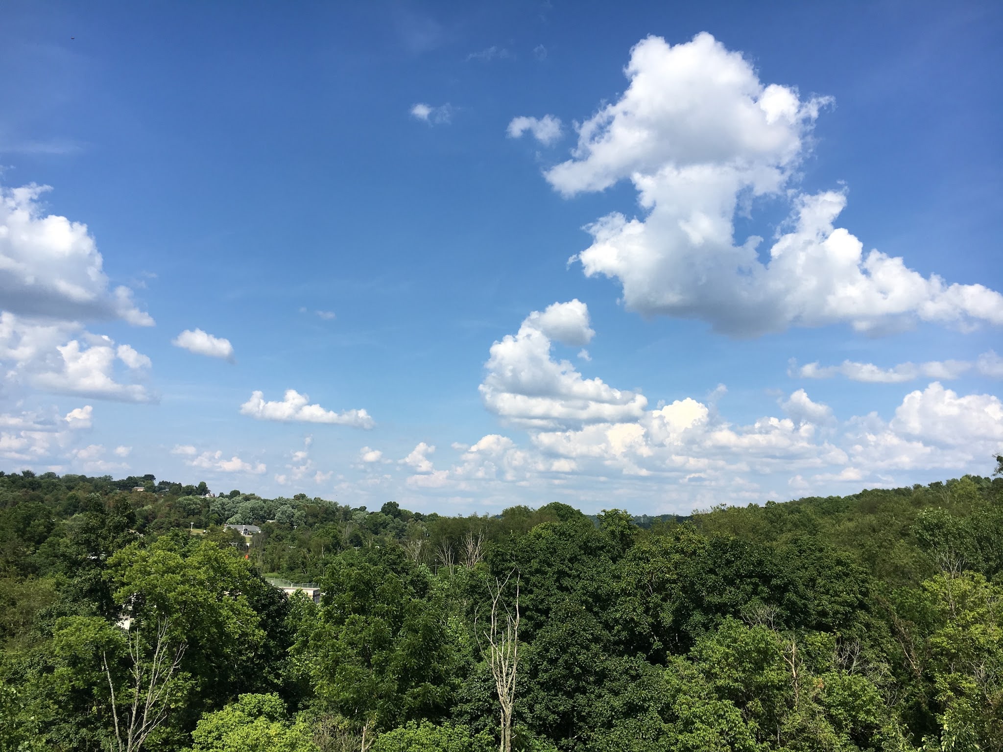 Montour Panhandle Connector - McDonald, PA