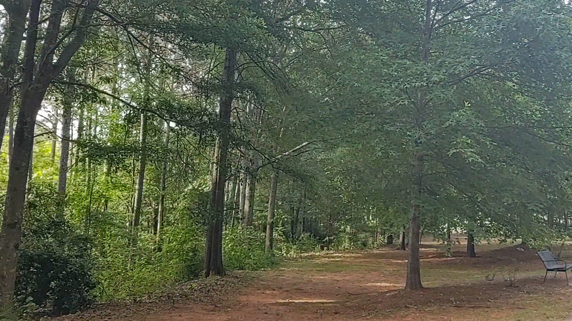 Alexander Park - McDonough, GA