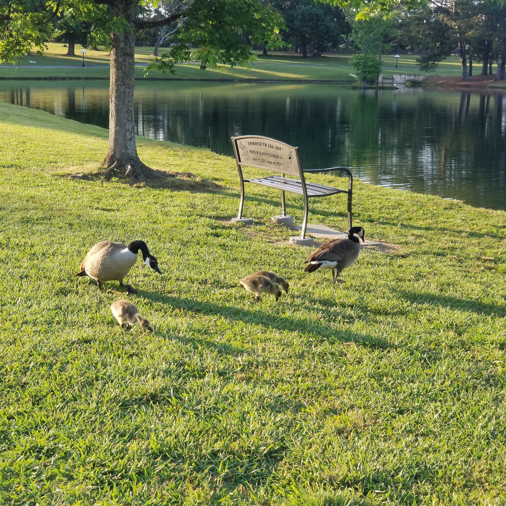 Salem Park - McDonough, GA
