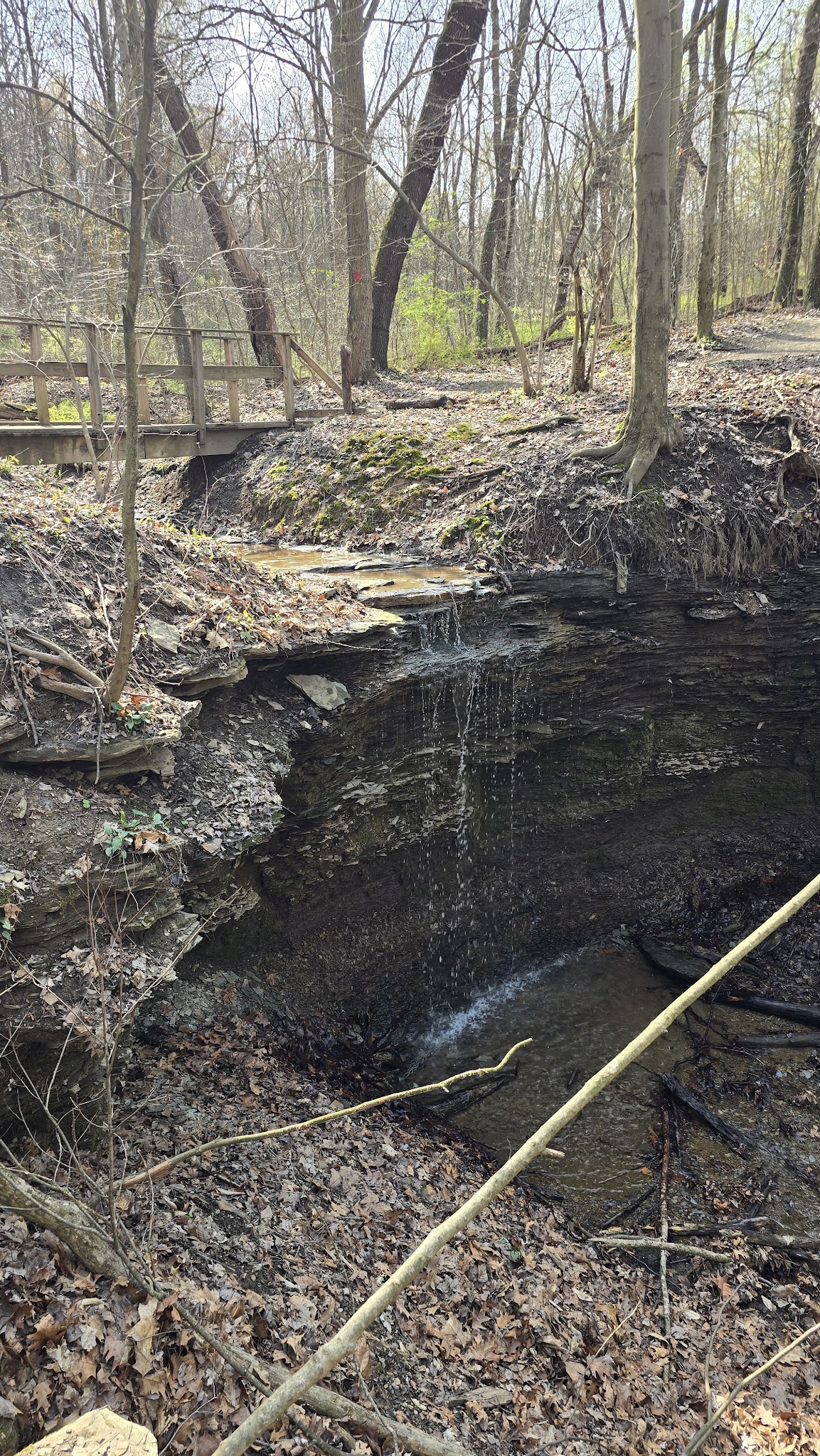 Dead Man’s Hollow Cool Spirit Trailhead - McKeesport, PA