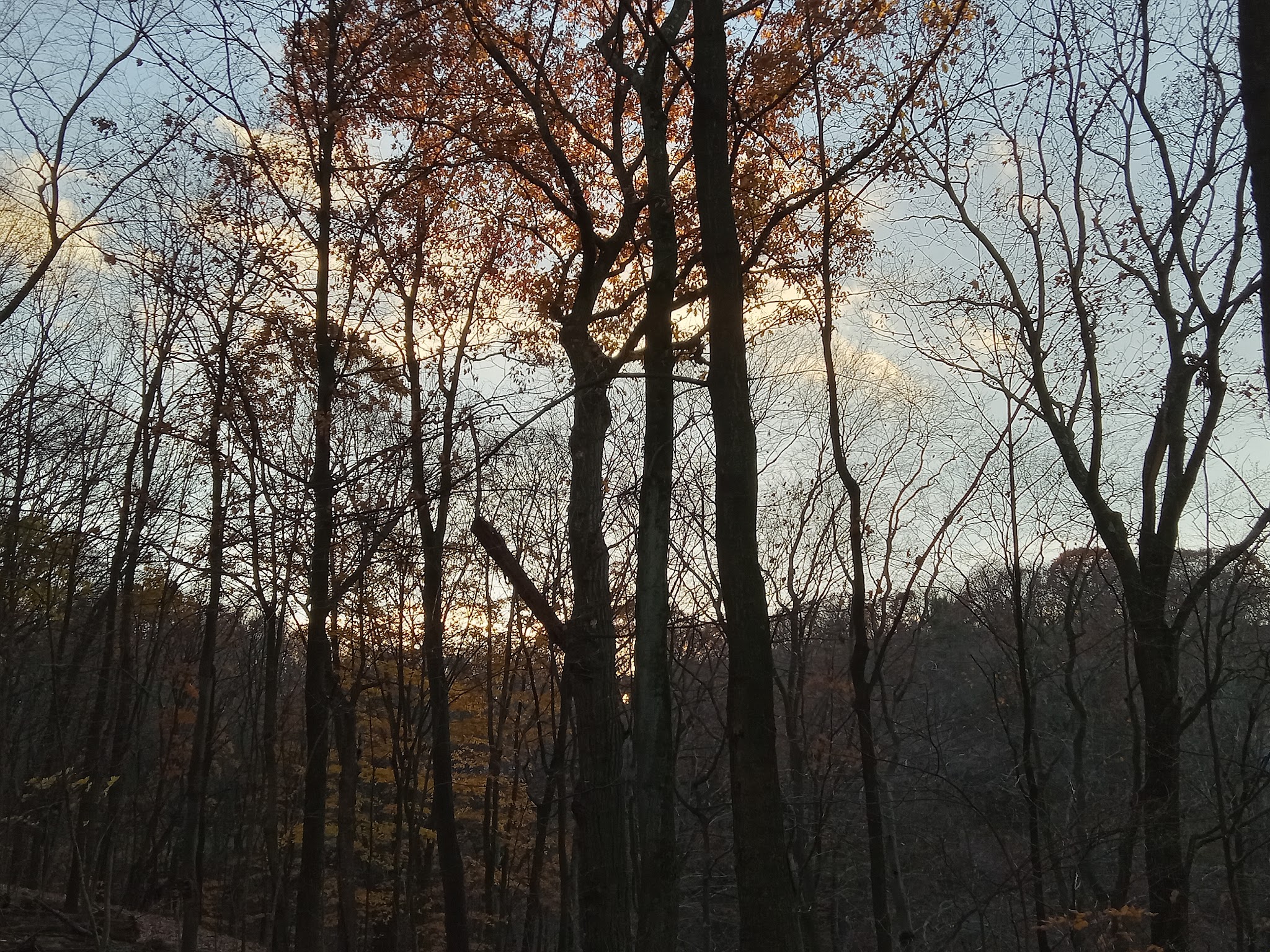 Dead Man’s Hollow Cool Spirit Trailhead - McKeesport, PA