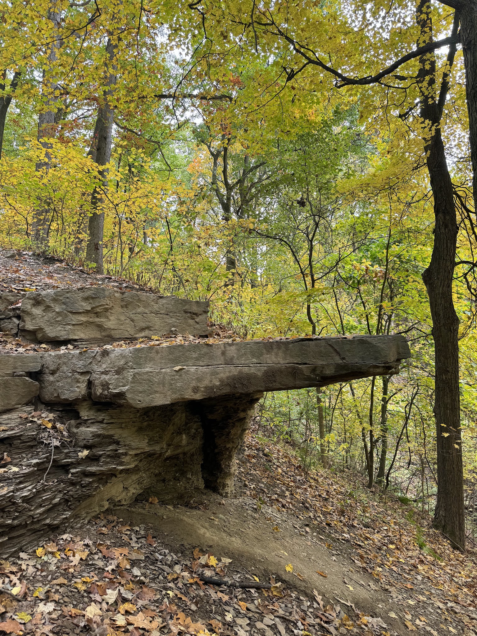 Dead Man’s Hollow Cool Spirit Trailhead - McKeesport, PA