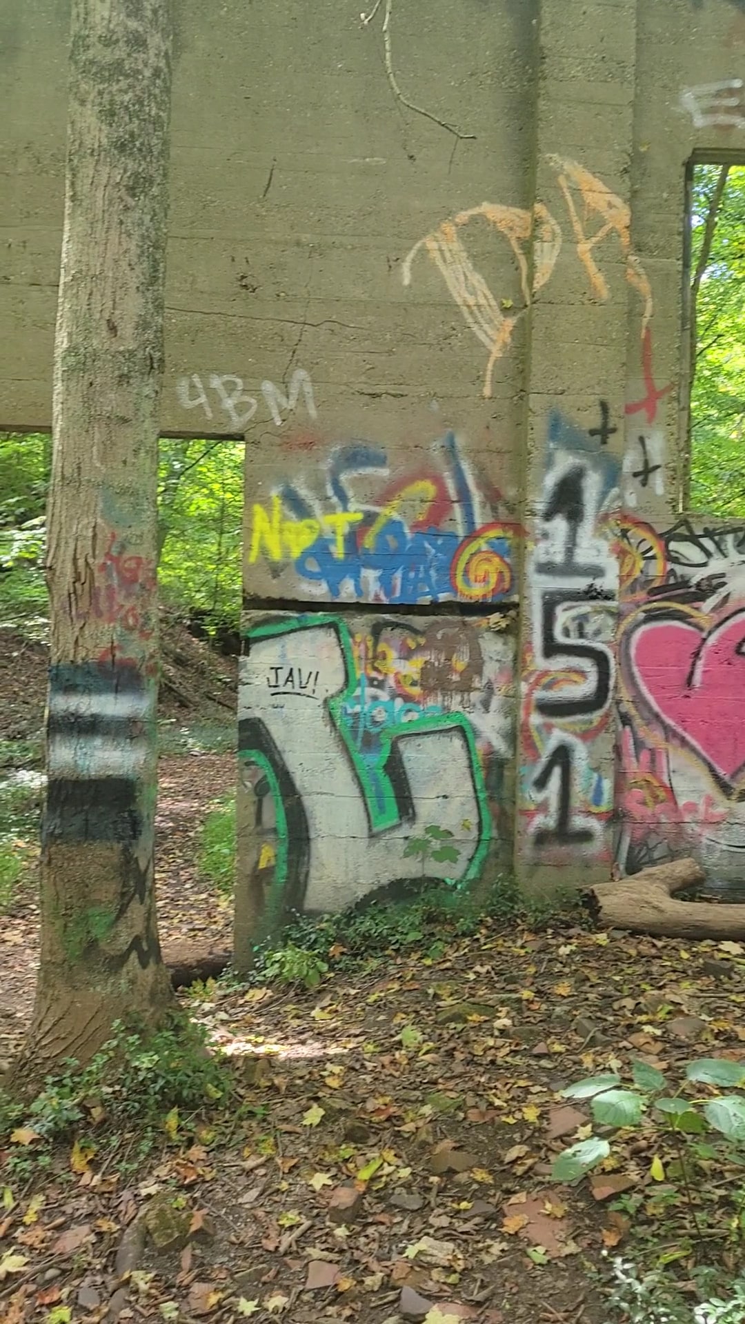Dead Man’s Hollow Cool Spirit Trailhead - McKeesport, PA