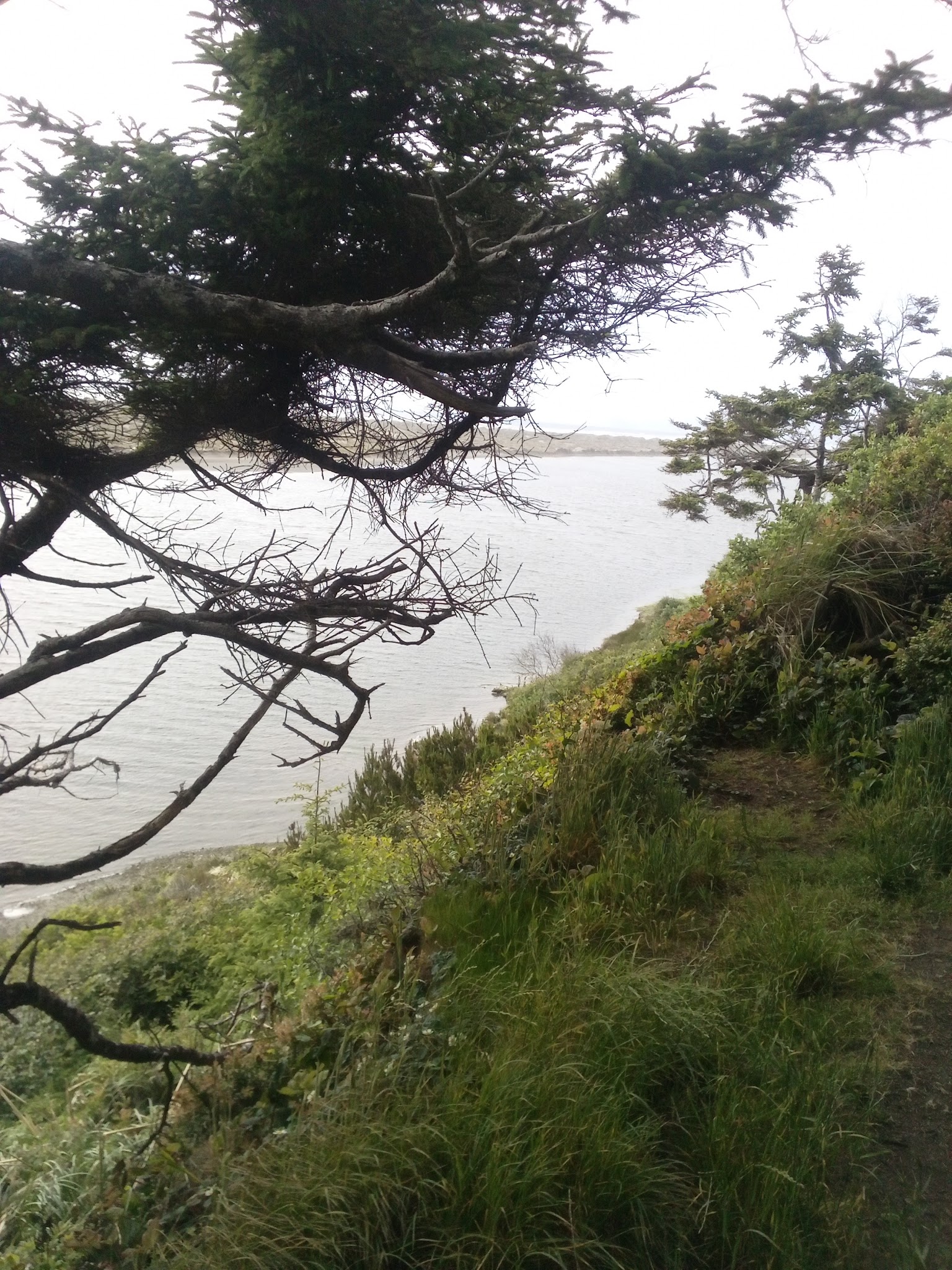 McKinleyville dog park - McKinleyville, CA