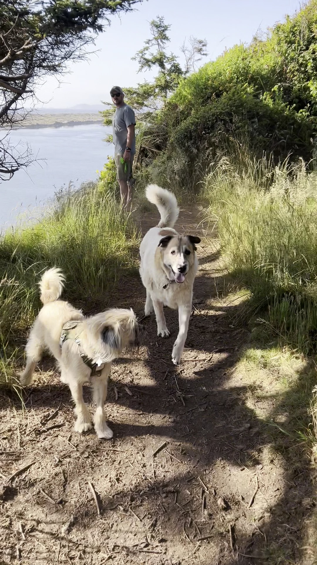 McKinleyville dog park - McKinleyville, CA