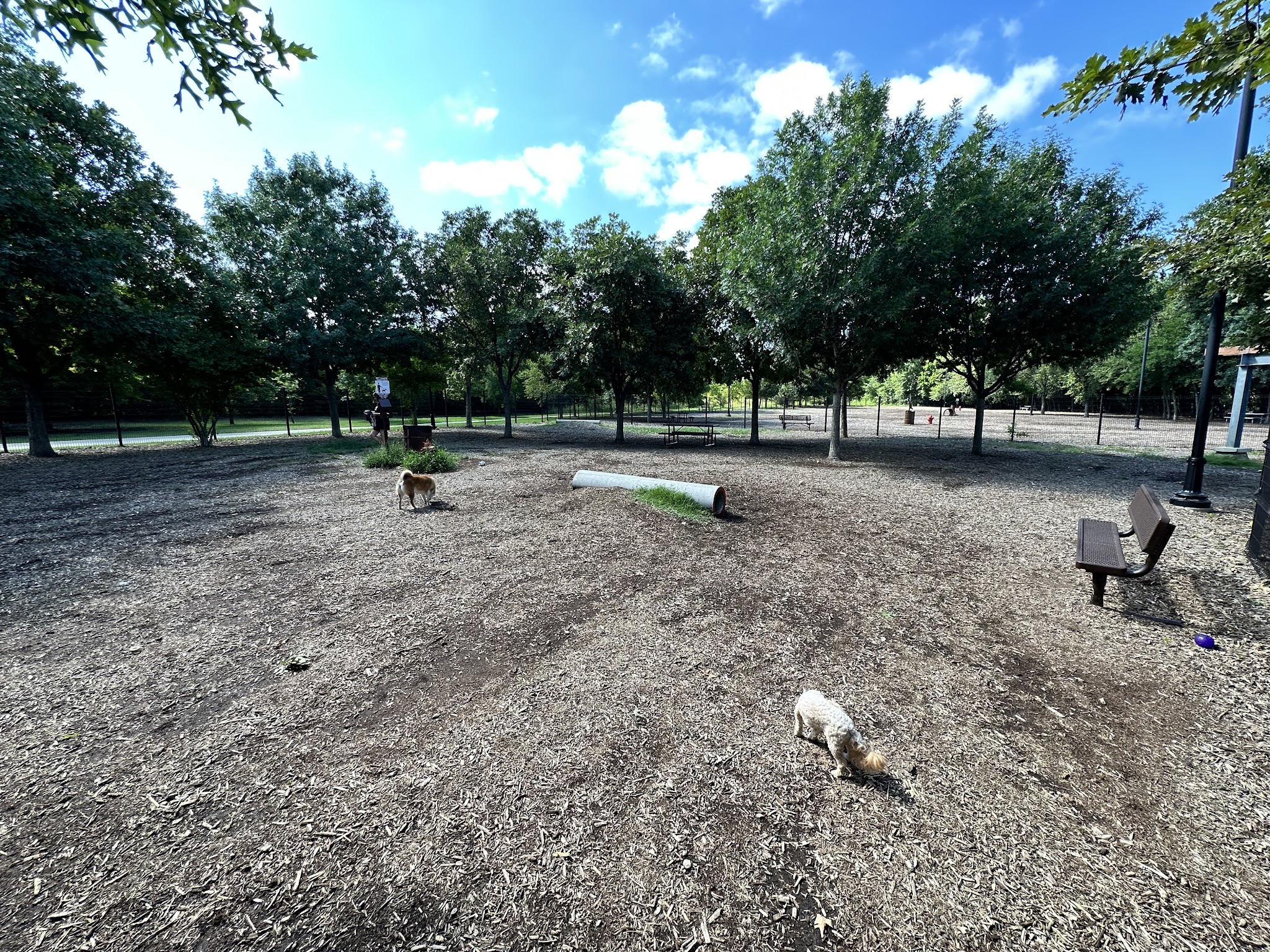 Bonnie Wenk Park Dog Park - McKinney, TX