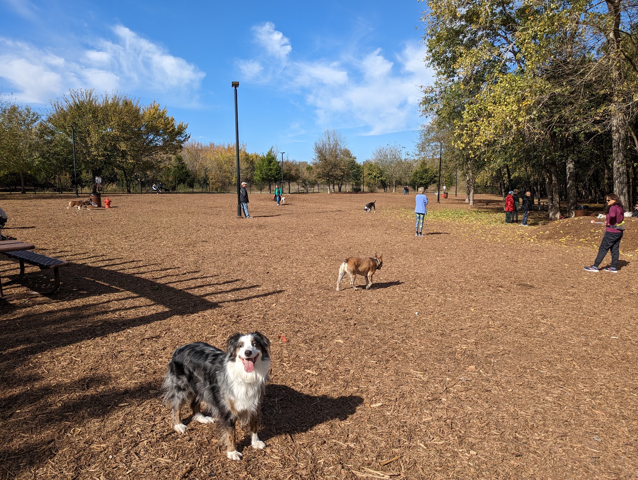 Bonnie Wenk Park Dog Park - McKinney, TX