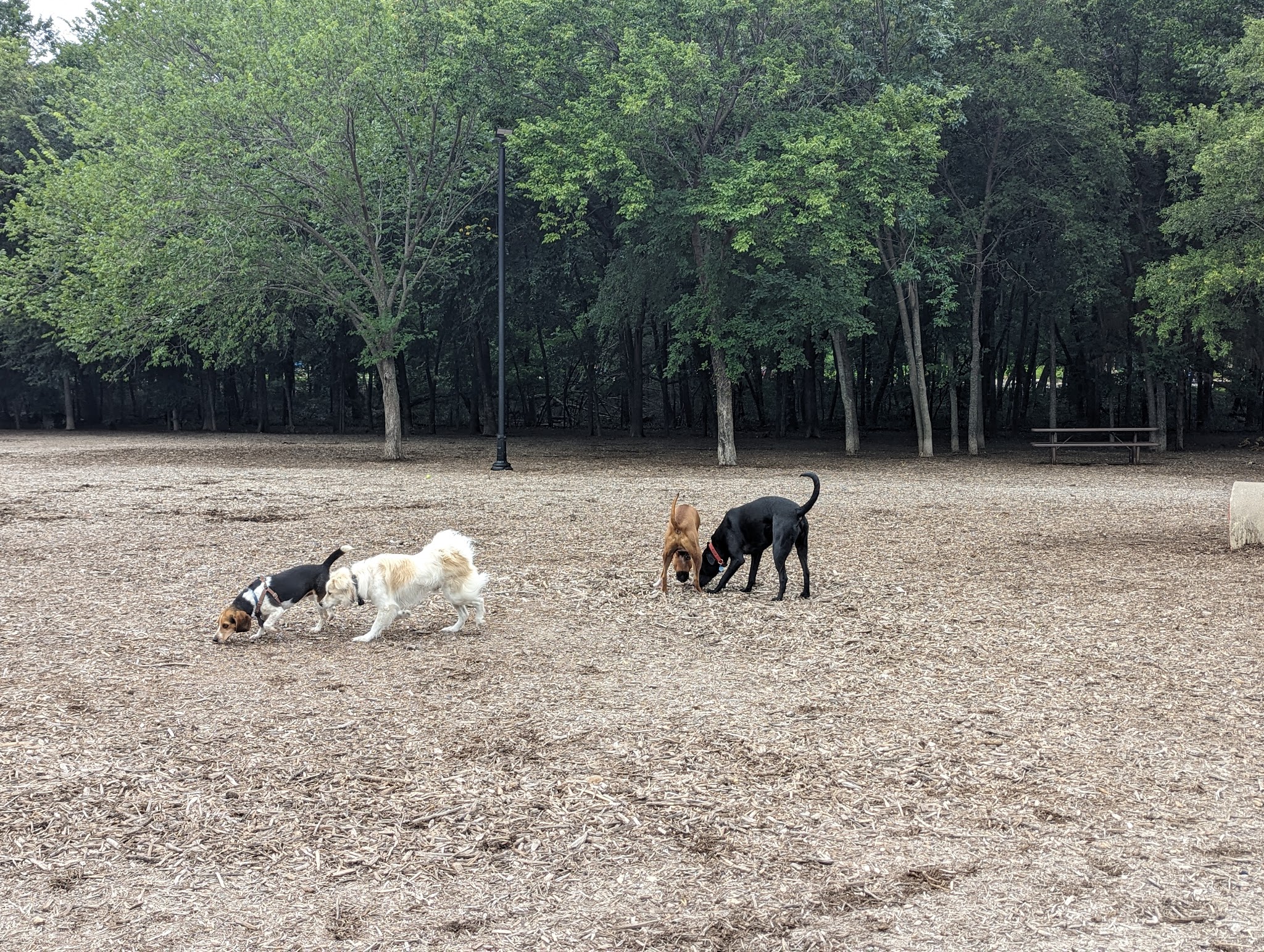 Bonnie Wenk Park Dog Park - McKinney, TX