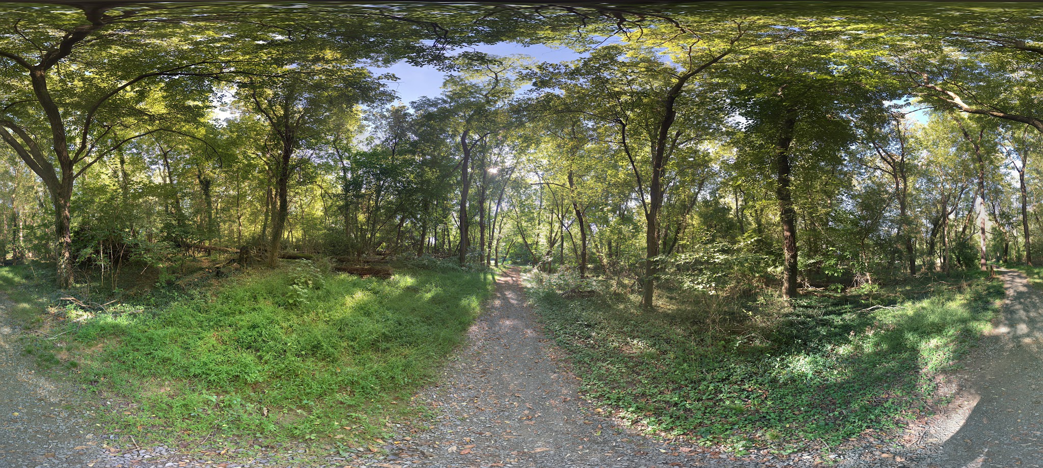 Bryn Mawr Park - McLean, VA