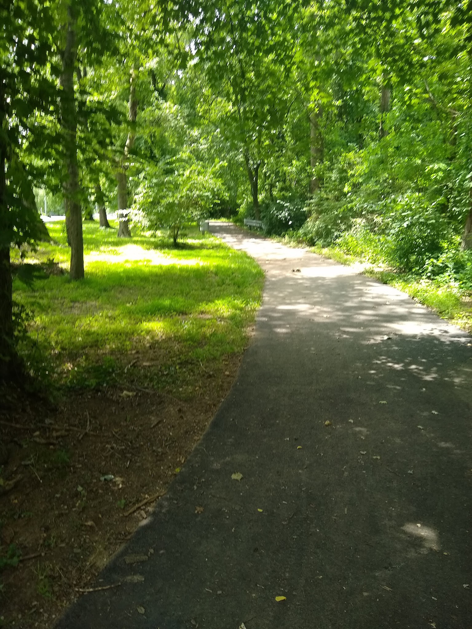Bryn Mawr Park - McLean, VA