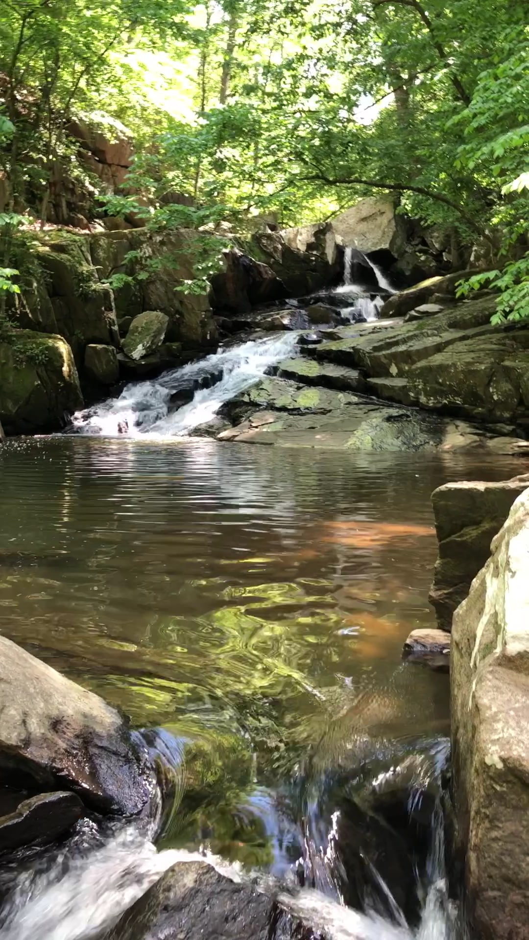 Langley Oaks Park - McLean, VA