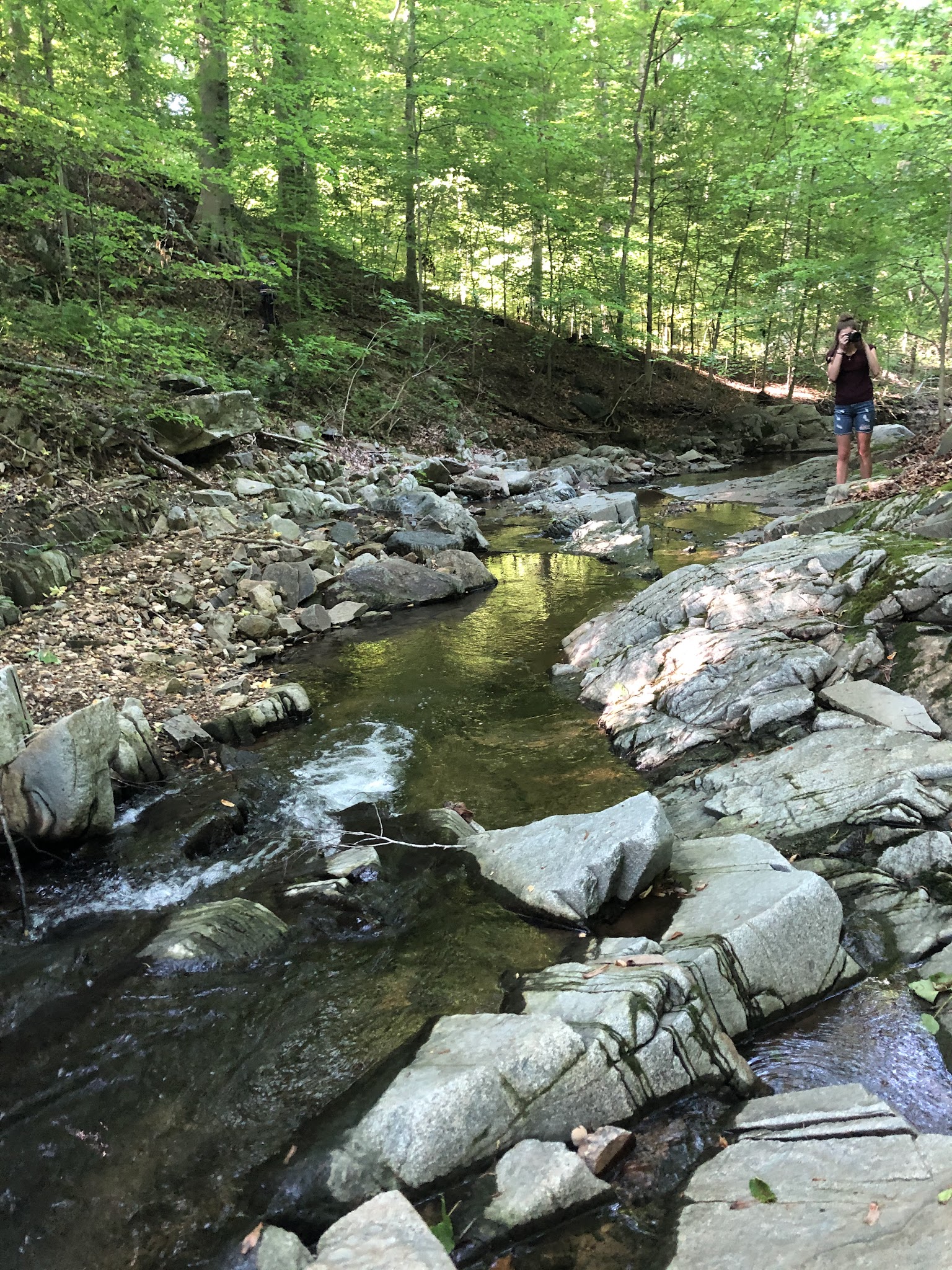 Langley Oaks Park - McLean, VA