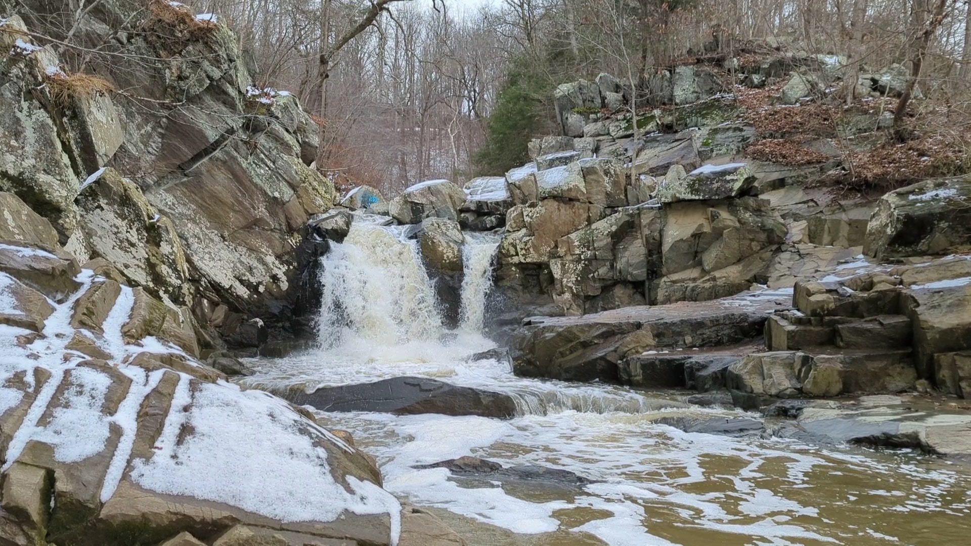 Scott’s Run Nature Preserve - McLean, VA