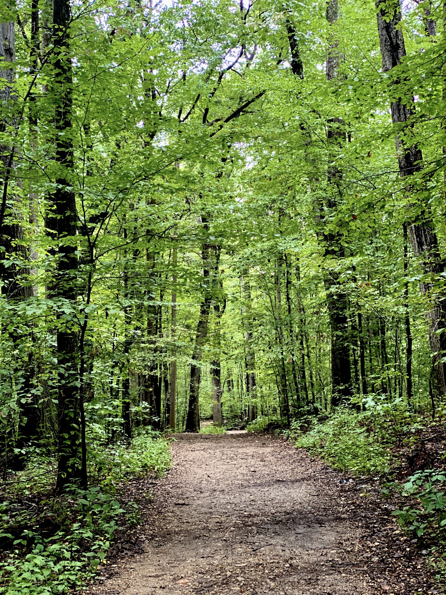 Scott’s Run Nature Preserve - McLean, VA