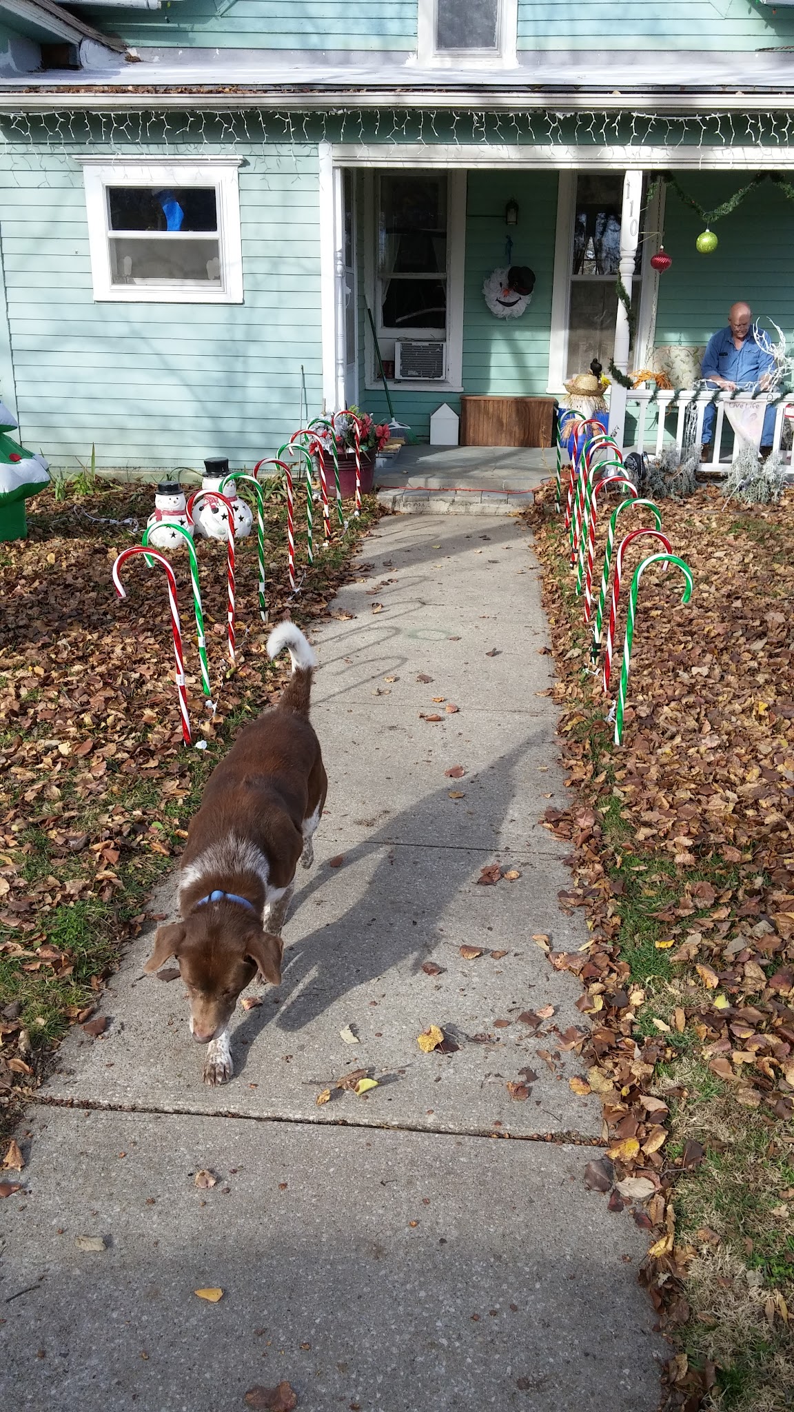 rose park - McLouth, KS