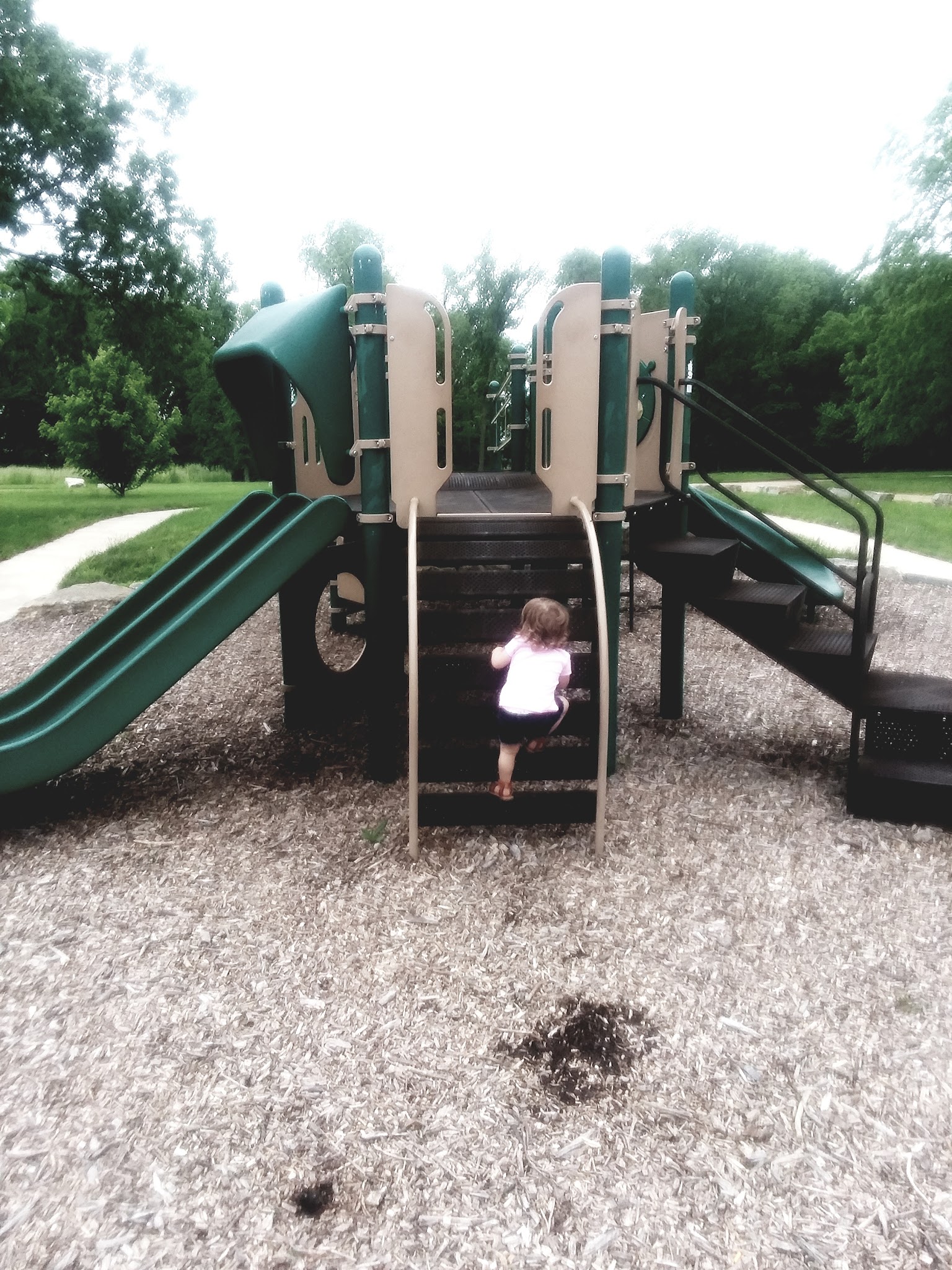 rose park - McLouth, KS