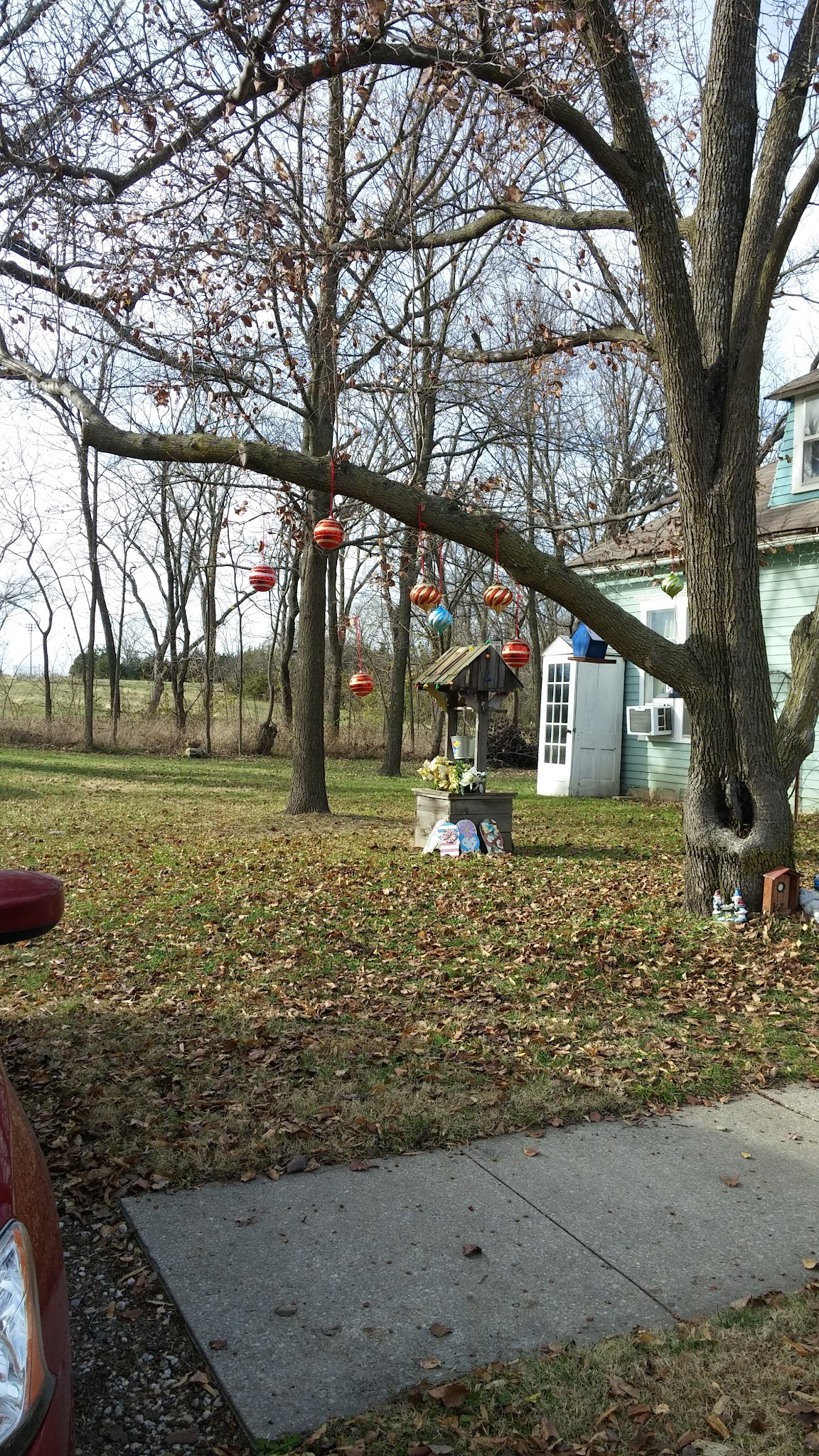 rose park - McLouth, KS