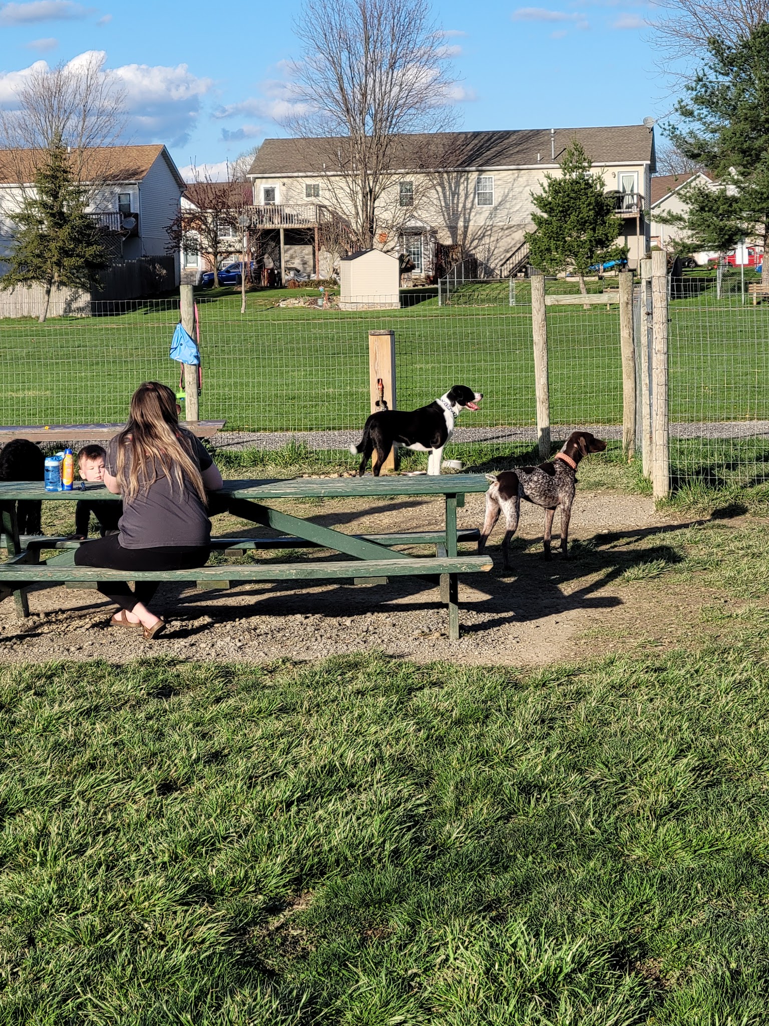 North Street Dog Park - McSherrystown, PA