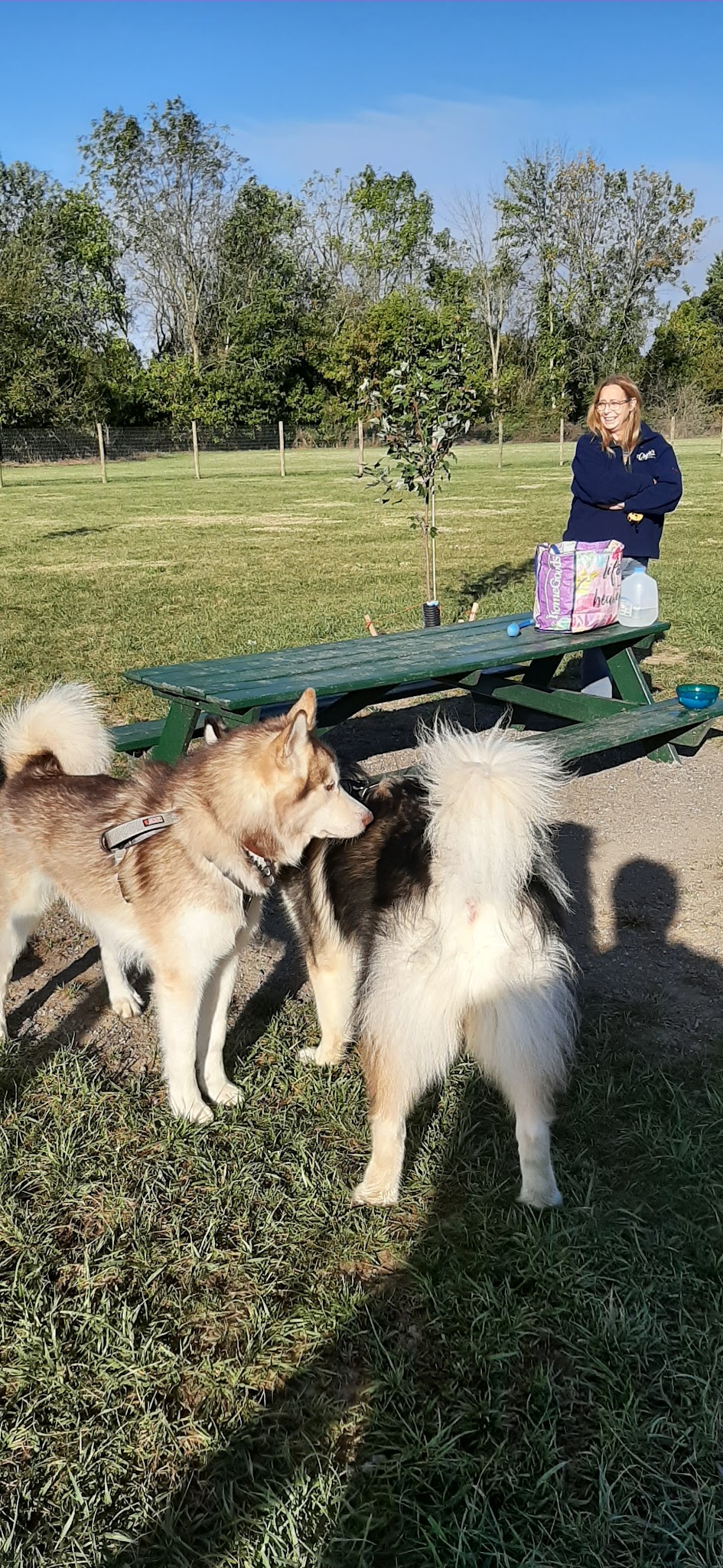 North Street Dog Park - McSherrystown, PA
