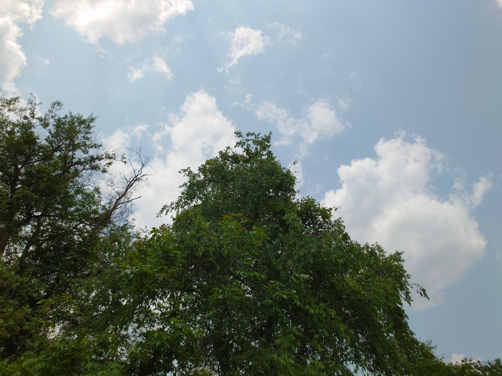 Ernst Bike Trail Bailey Trailhead - Meadville, PA