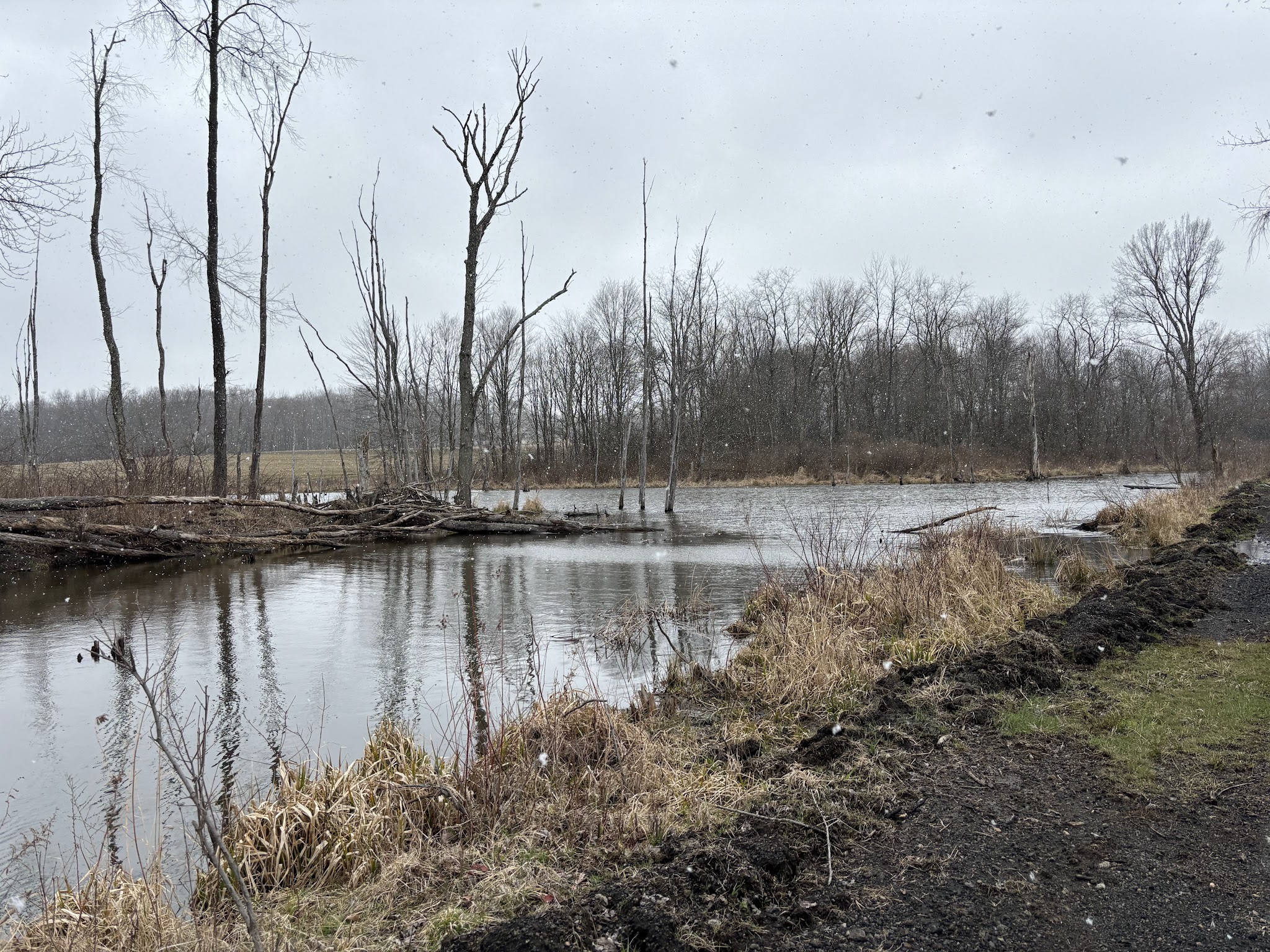Ernst Bike Trail Bailey Trailhead - Meadville, PA