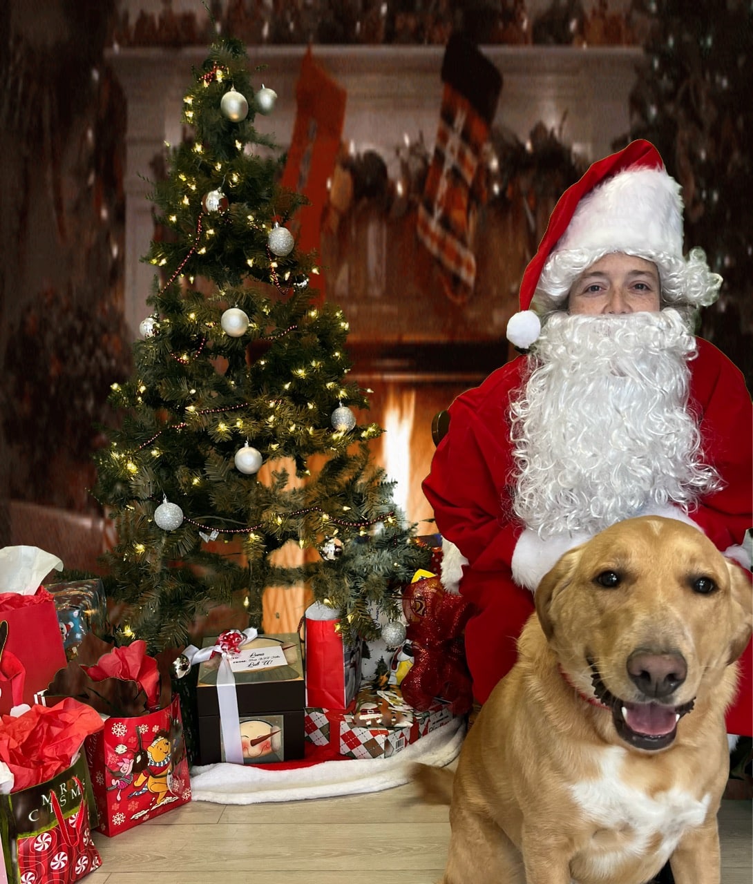 Dogtopia of Mechanicsburg - Mechanicsburg, PA