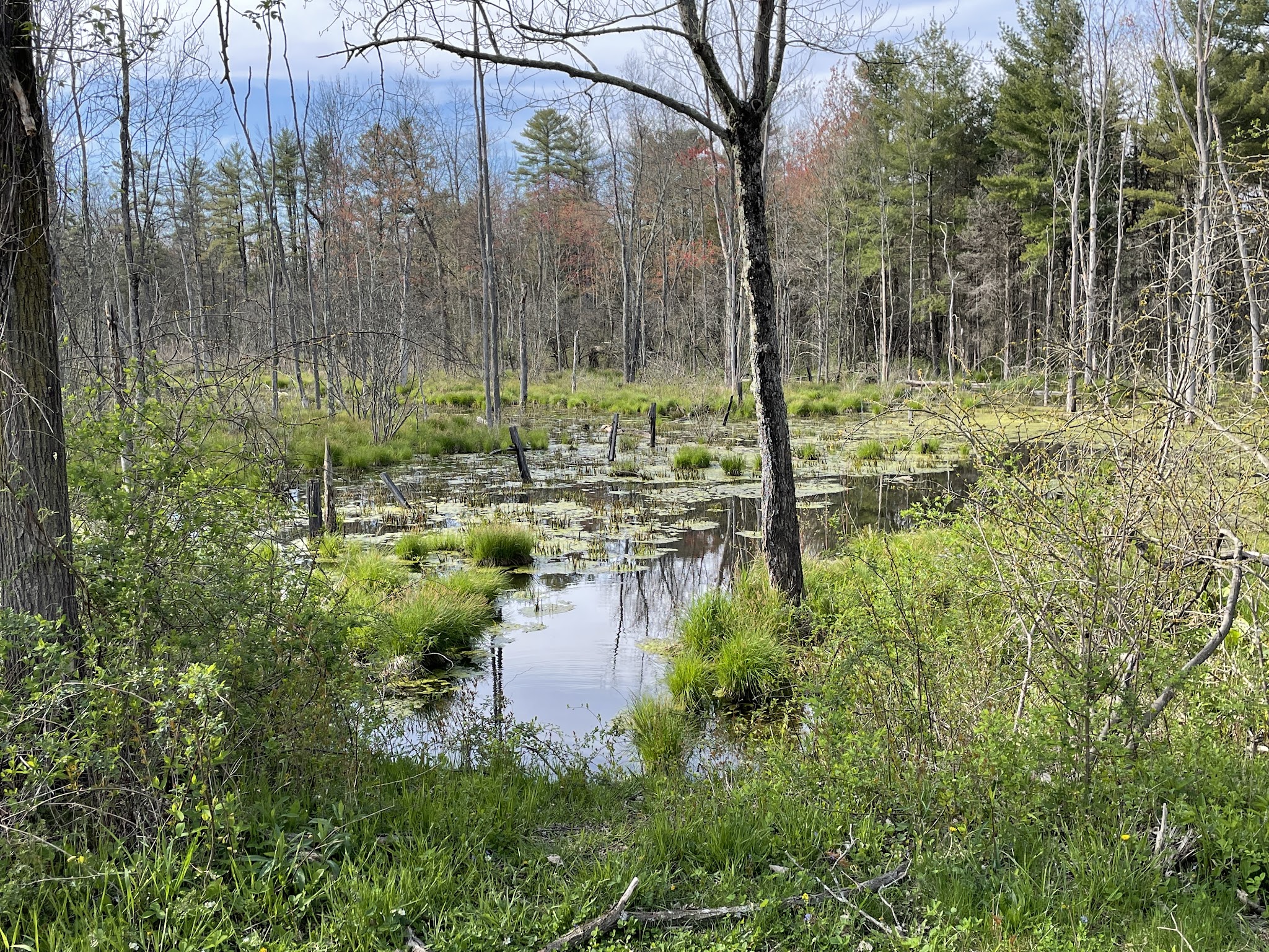 Zim Smith Trail Head - Mechanicville, NY