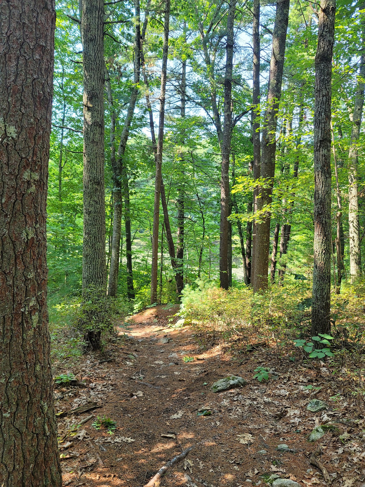 Noon Hill Reservation Trail Head - Medfield, MA