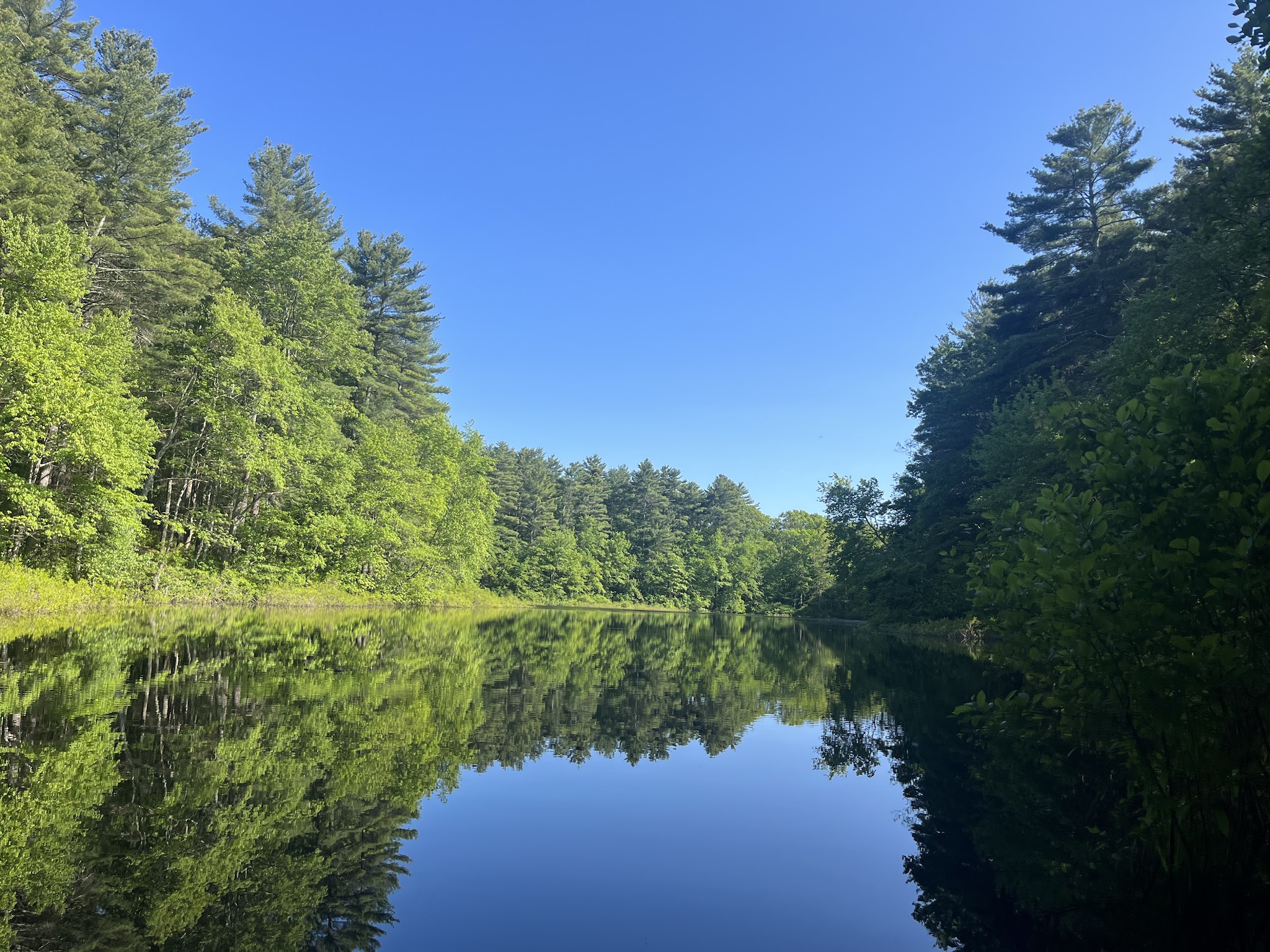 Noon Hill Reservation Trail Head - Medfield, MA