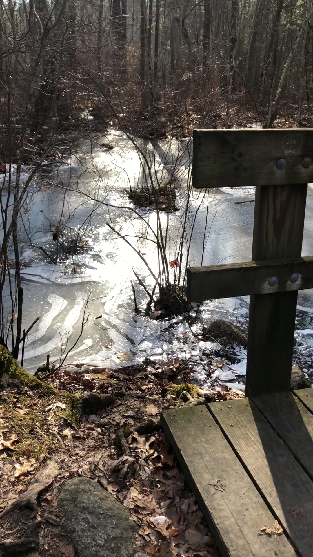 Noon Hill Reservation Trail Head - Medfield, MA