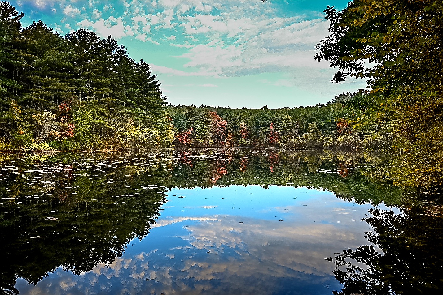 Rocky Woods - Medfield, MA
