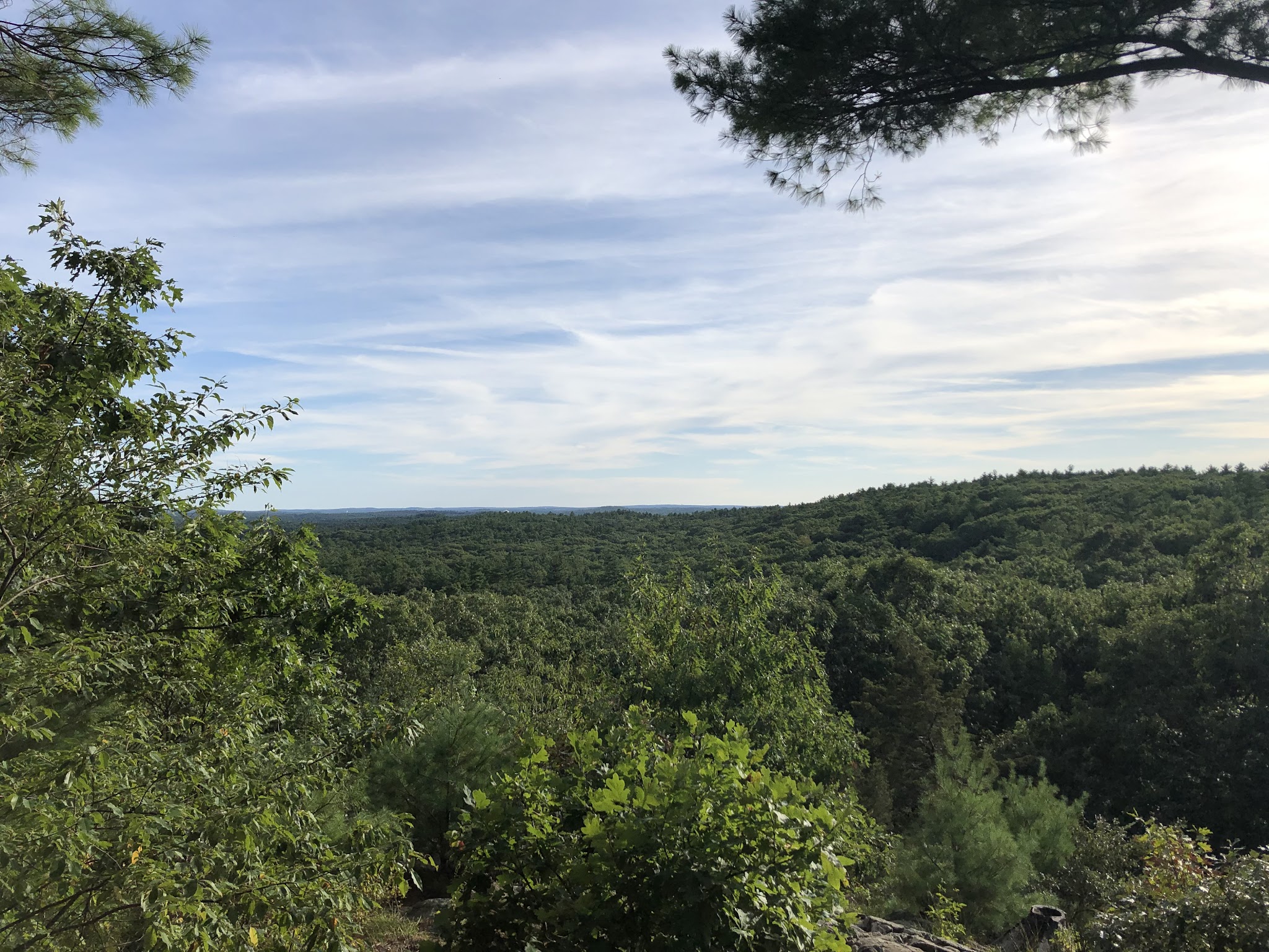Rocky Woods - Medfield, MA