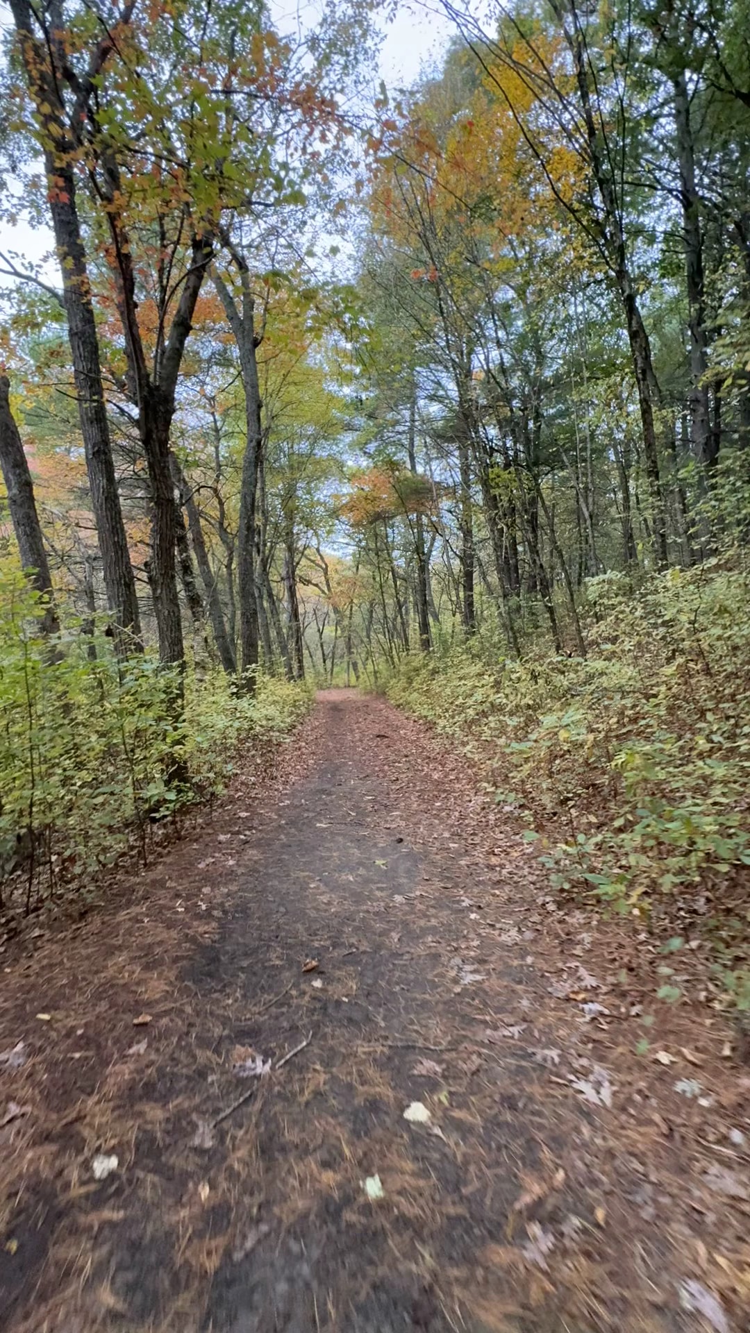 Rocky Woods - Medfield, MA