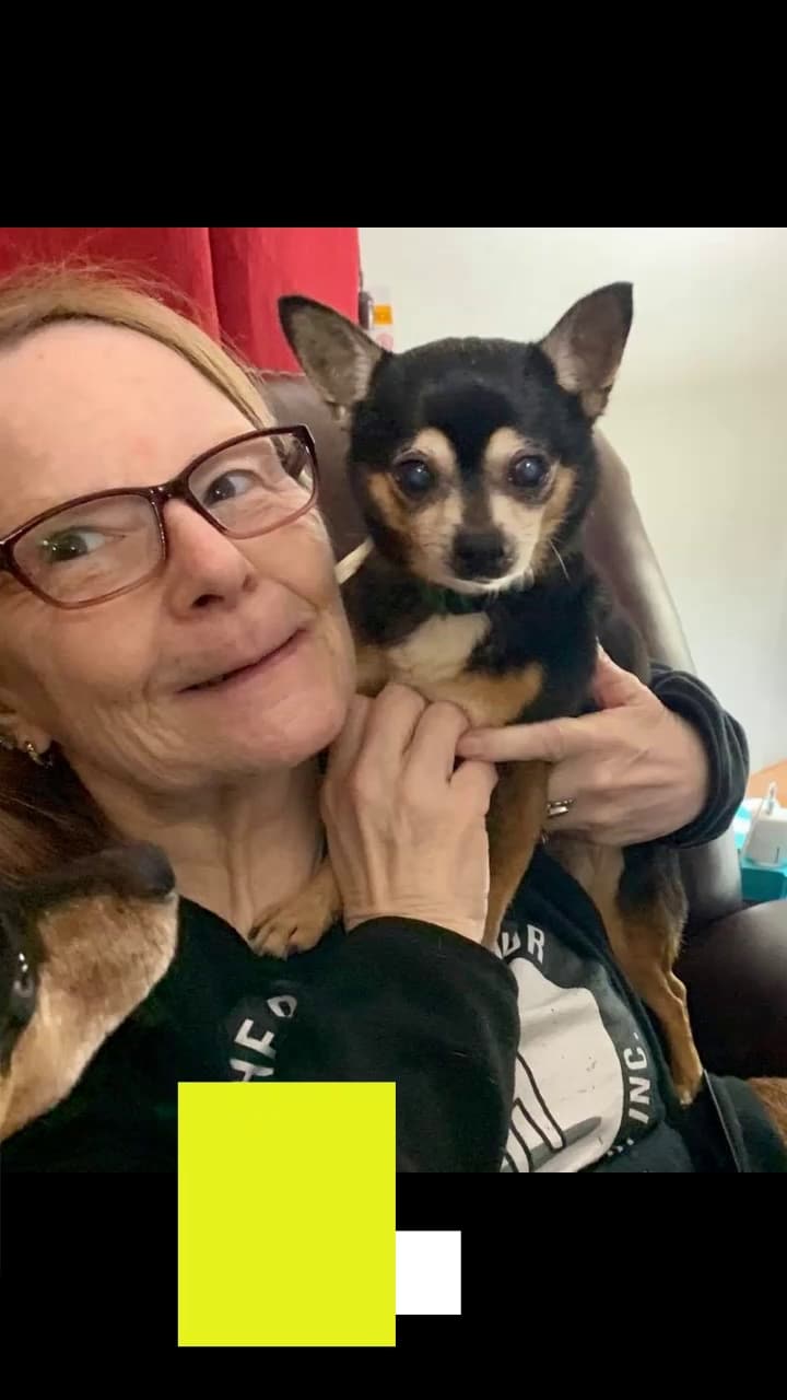 Roland Senior Dog Sanctuary - Melrose, FL