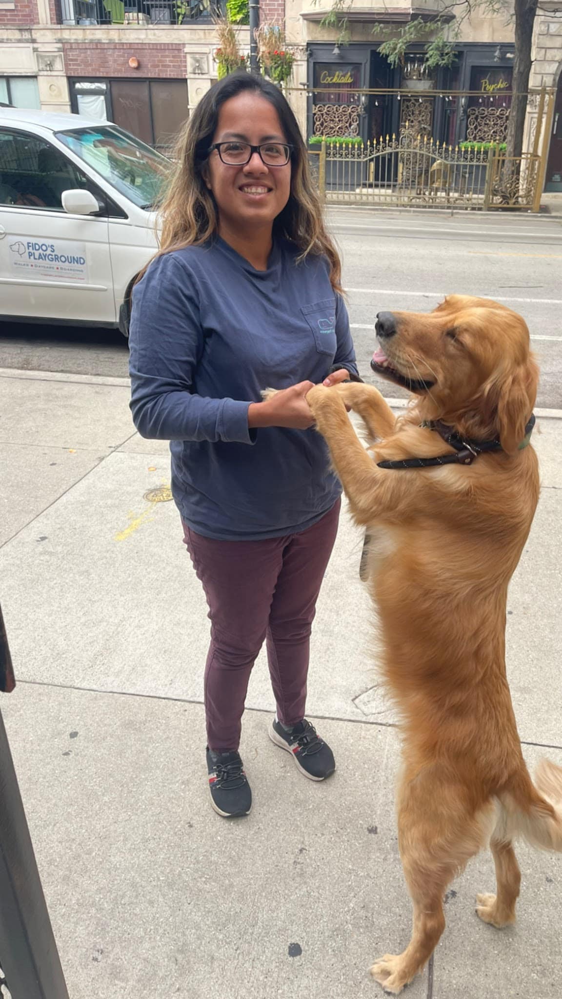Fido's Playground - Melrose Park, IL