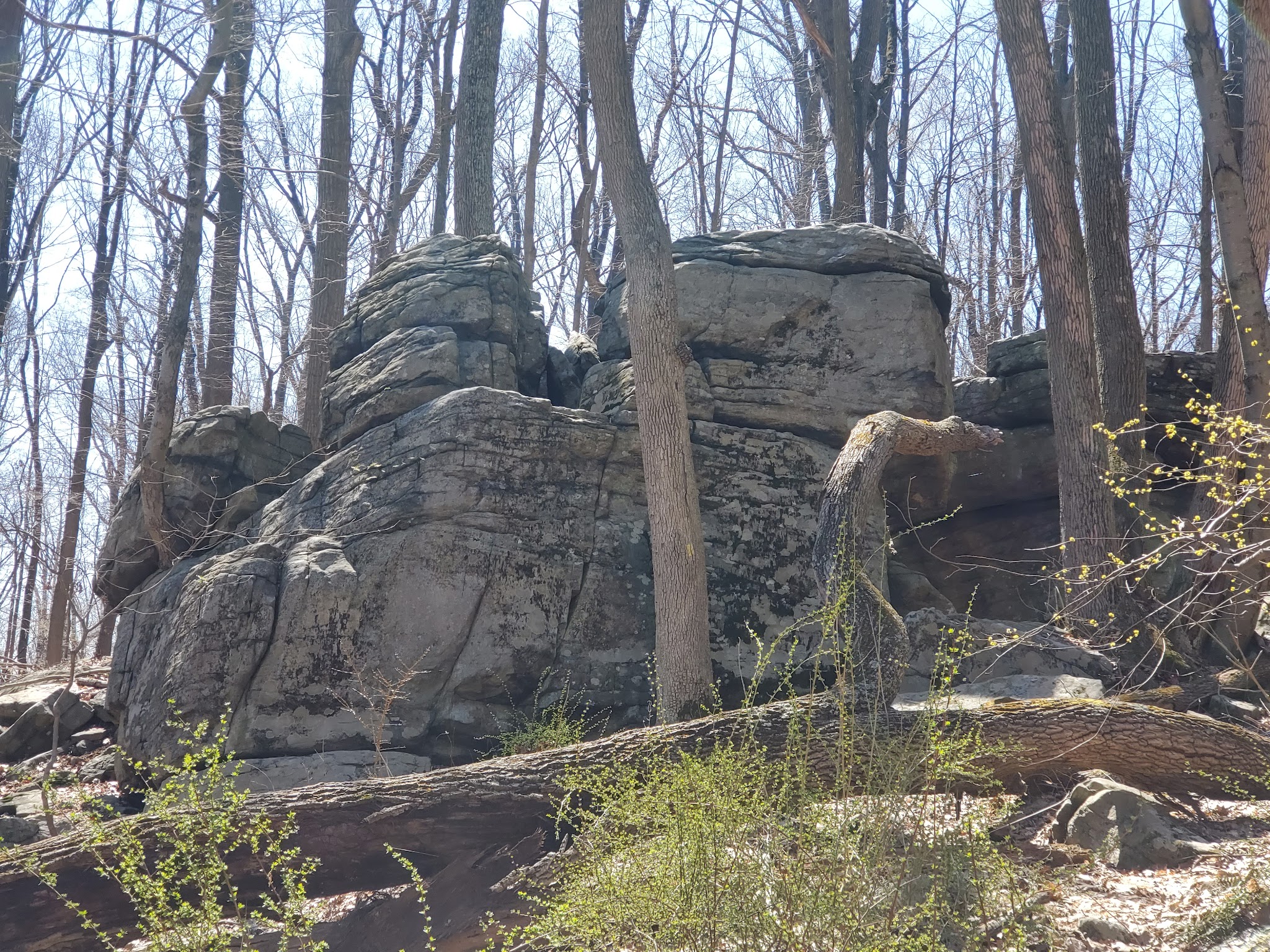 Dismal Harmony parking & trail head - Mendham Township, NJ