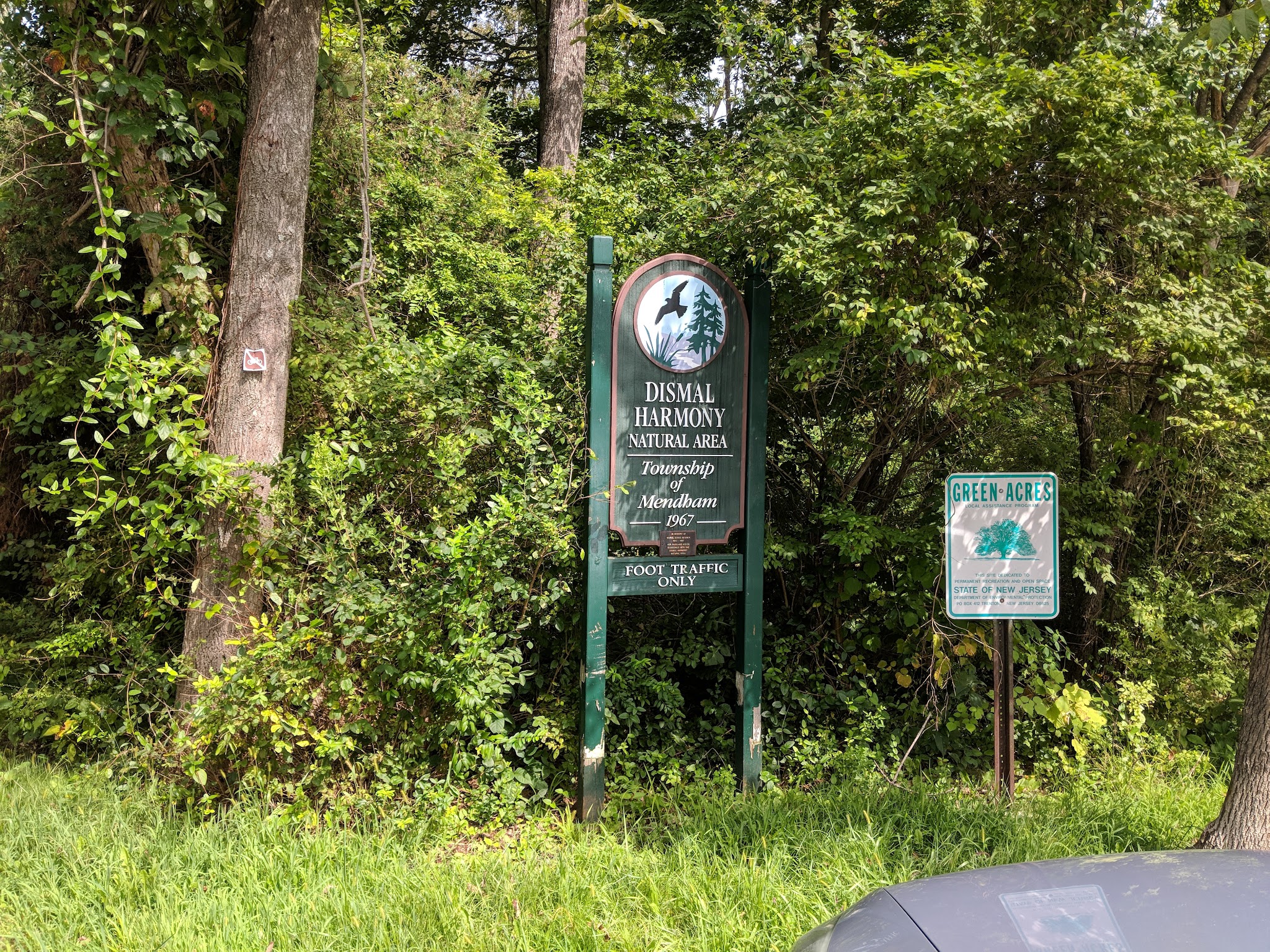 Dismal Harmony parking & trail head - Mendham Township, NJ