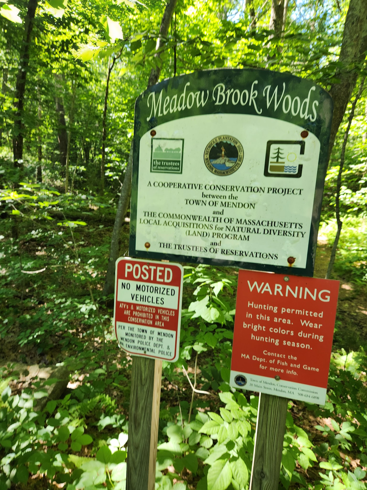 Park St Trailhead - Meadow Brook Woods - Mendon, MA