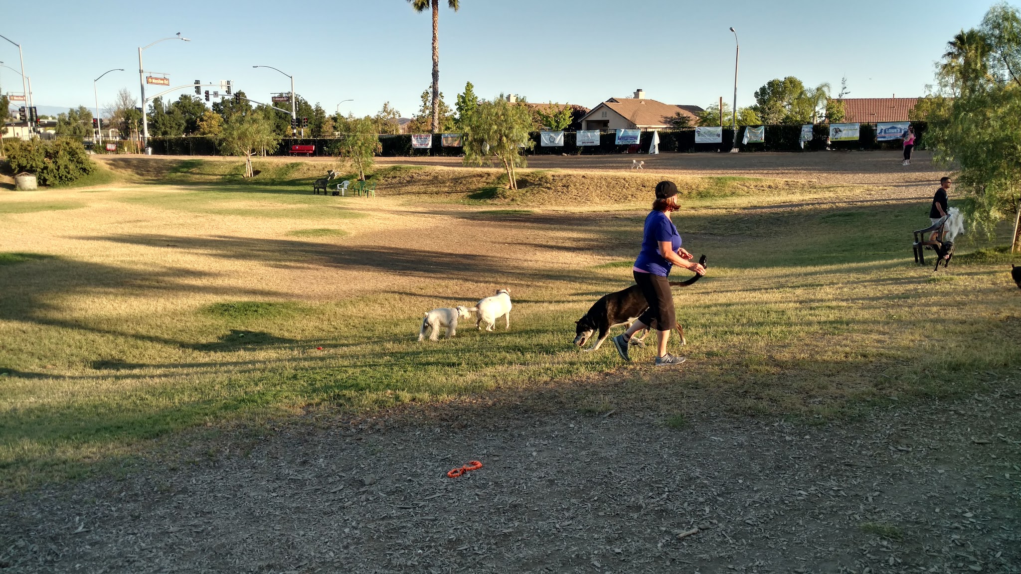 Aldergate Dog Park, Valley-Wide Recreation and Park District - Menifee, CA