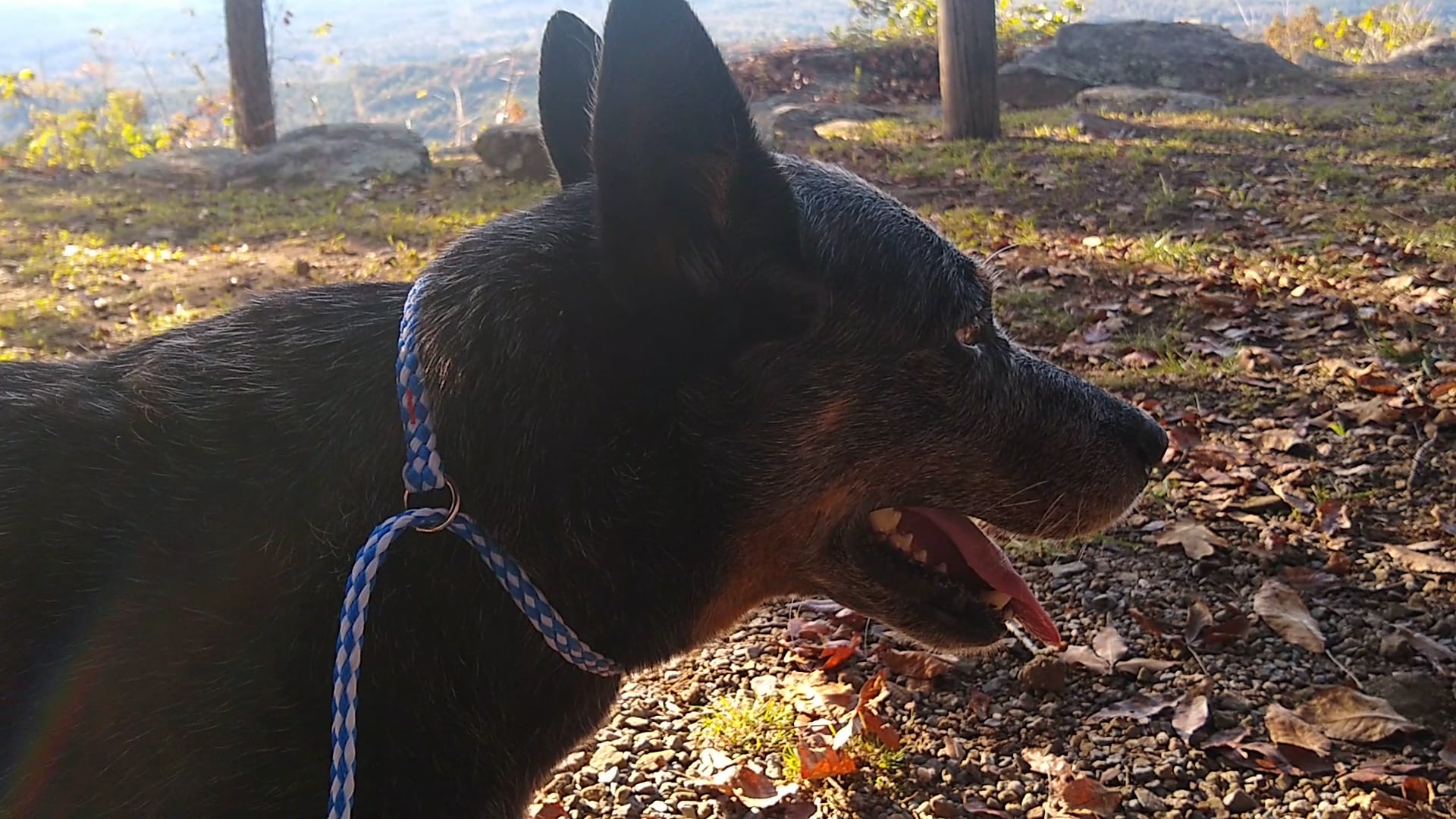 Brow Park - Mentone, AL