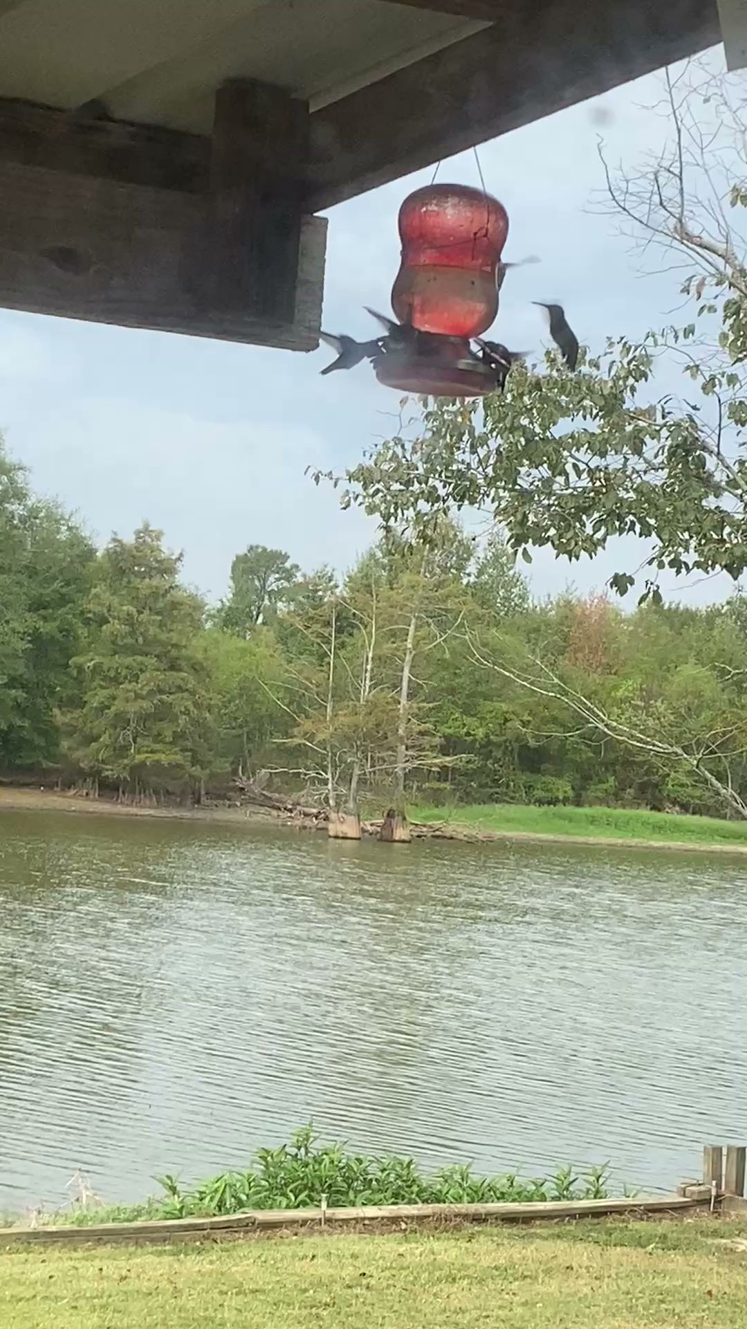 Bayou Bonne Idee RV PARK and one cabin - Mer Rouge, LA
