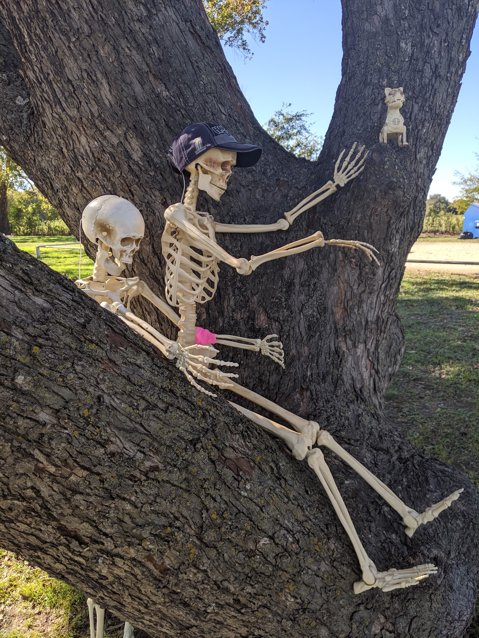 Lions Park - Meridian, TX