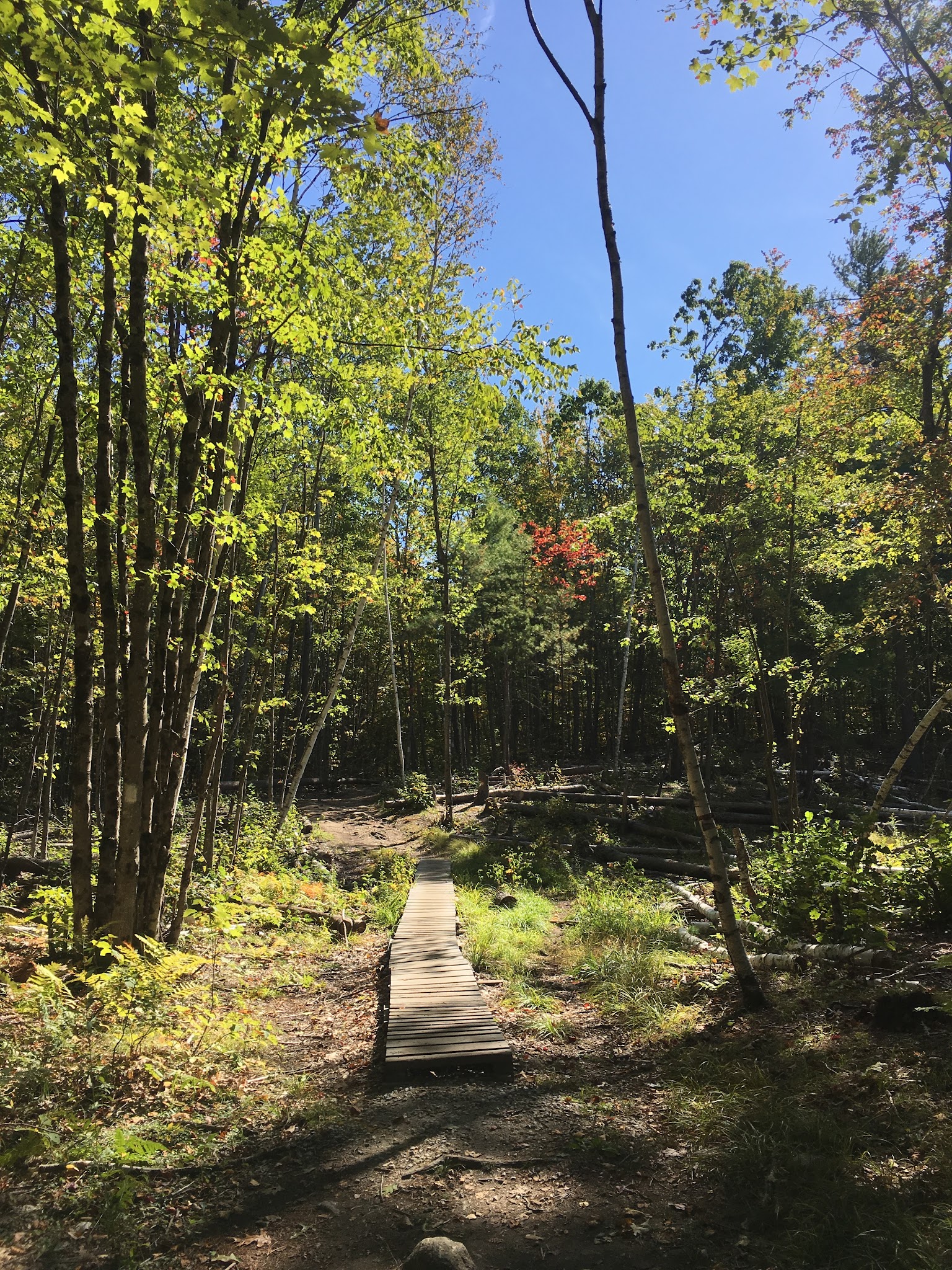 Horse Hill Nature Preserve - Merrimack, NH