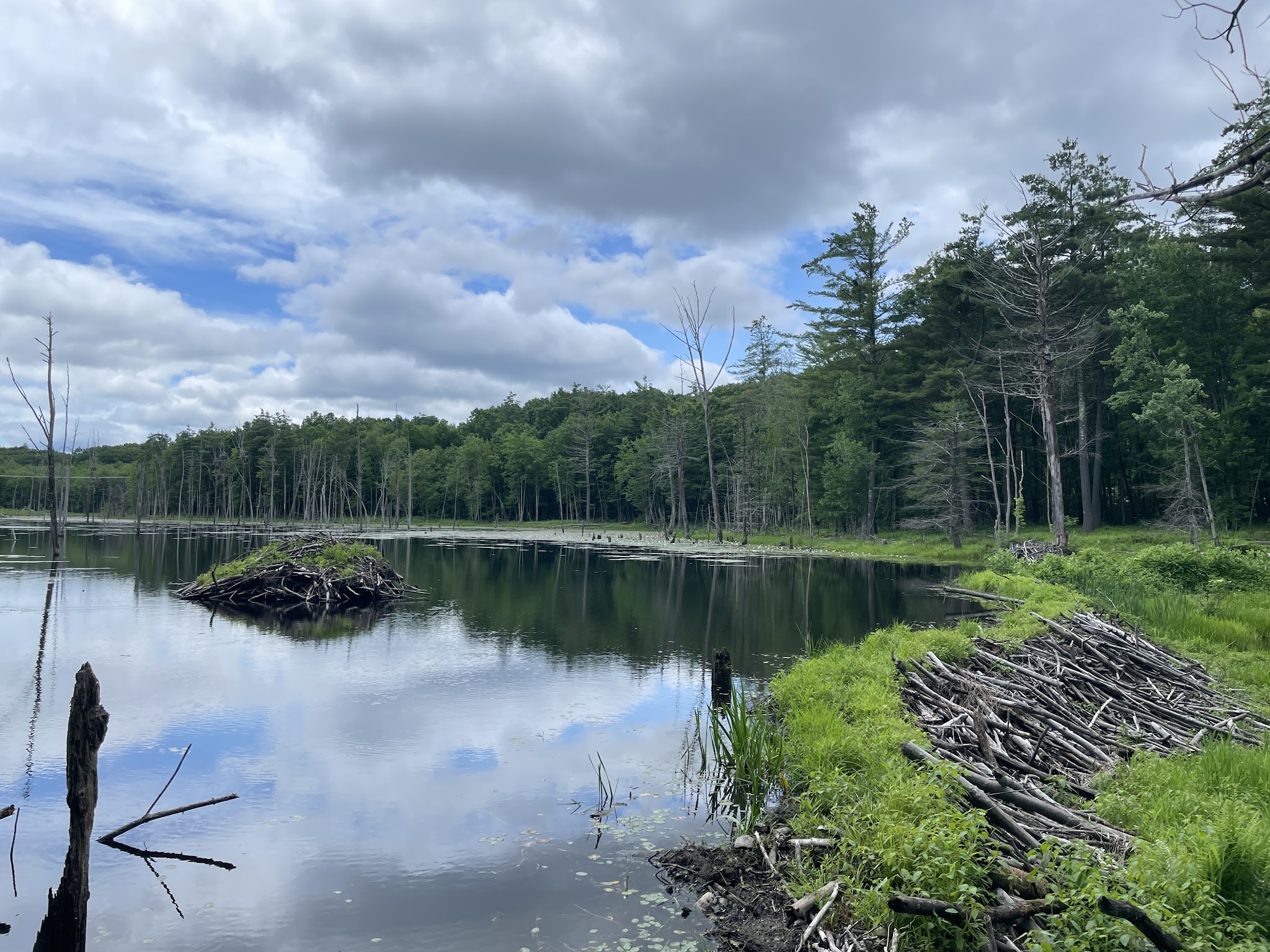 Horse Hill Nature Preserve - Merrimack, NH
