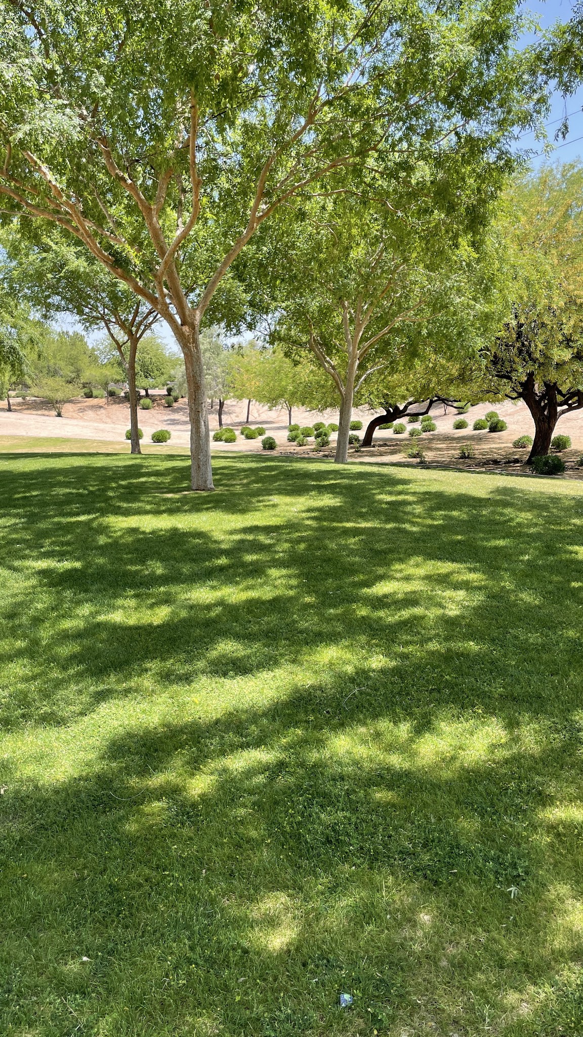 Adobe Hills HOA Park - Mesa, AZ