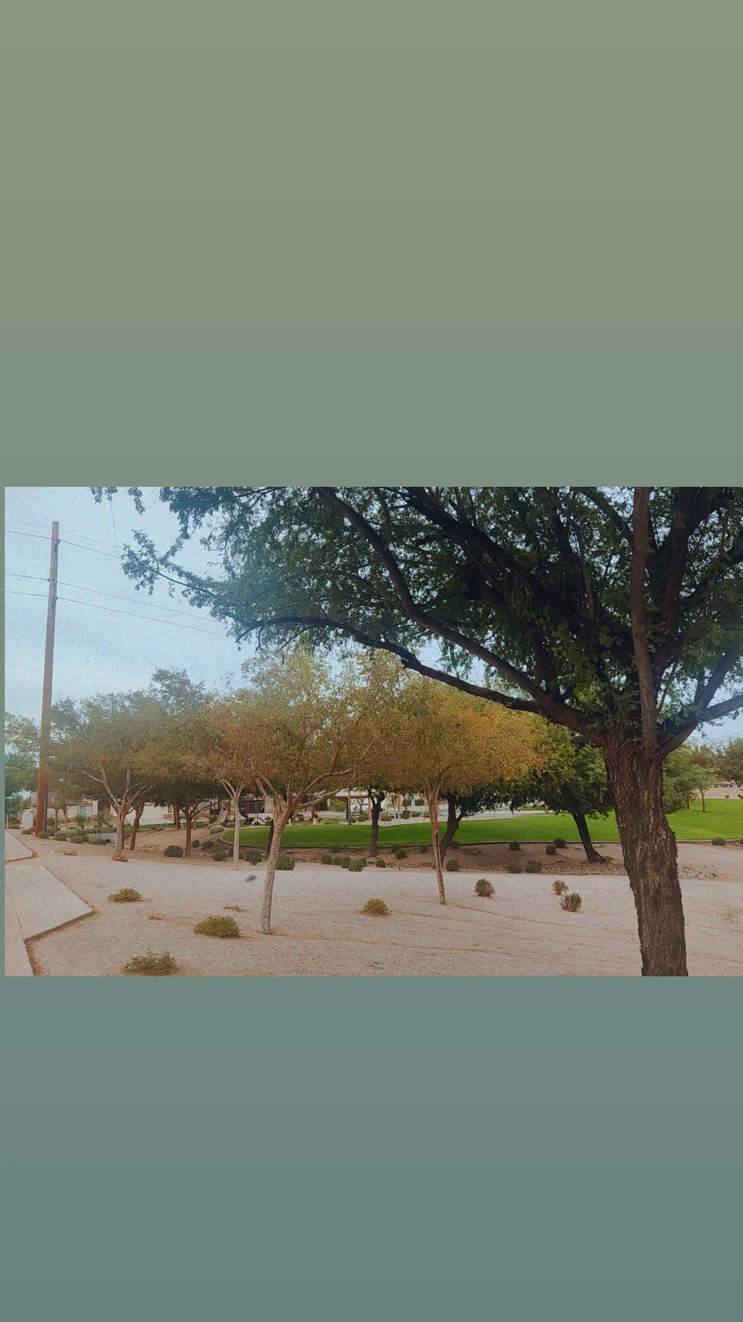 Adobe Hills HOA Park - Mesa, AZ