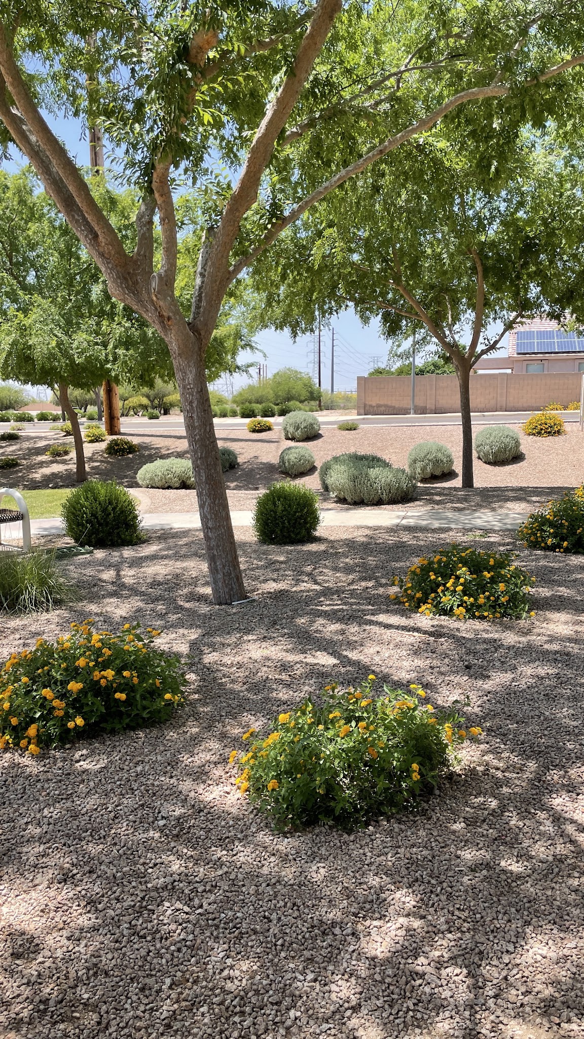 Adobe Hills HOA Park - Mesa, AZ