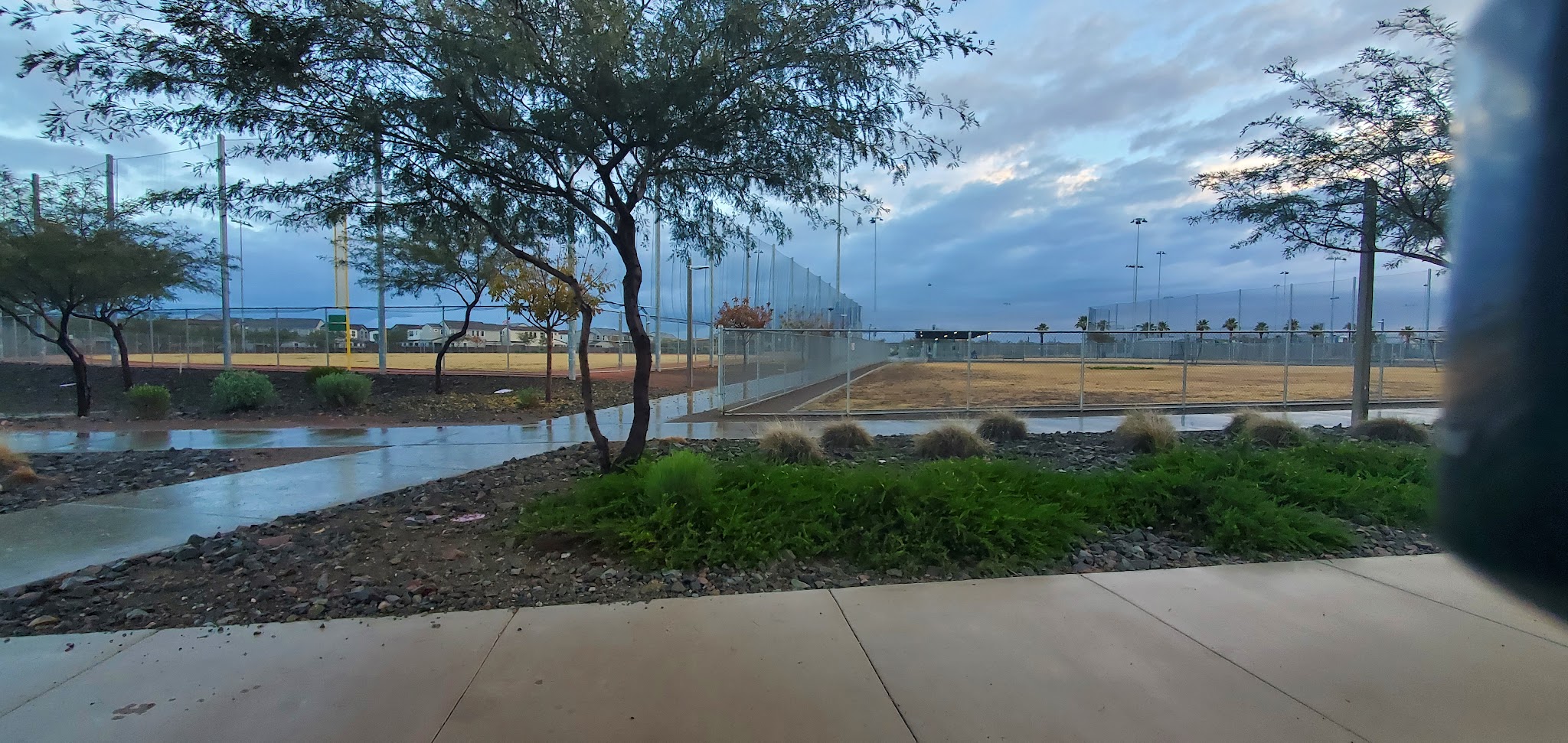 Baseball Fields & Dog Park @ Eastmark Great Park - Mesa, AZ