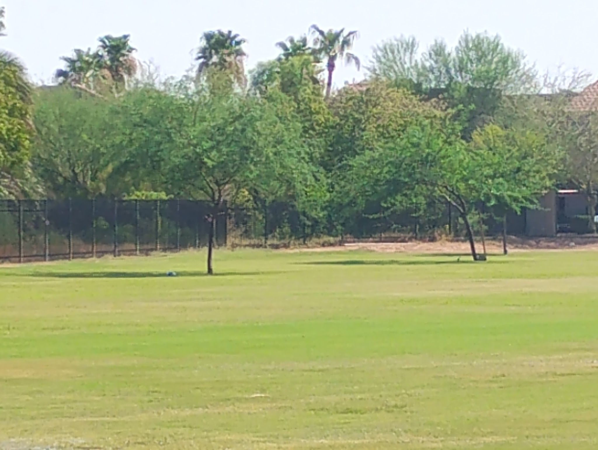 Beverly Park - Mesa, AZ