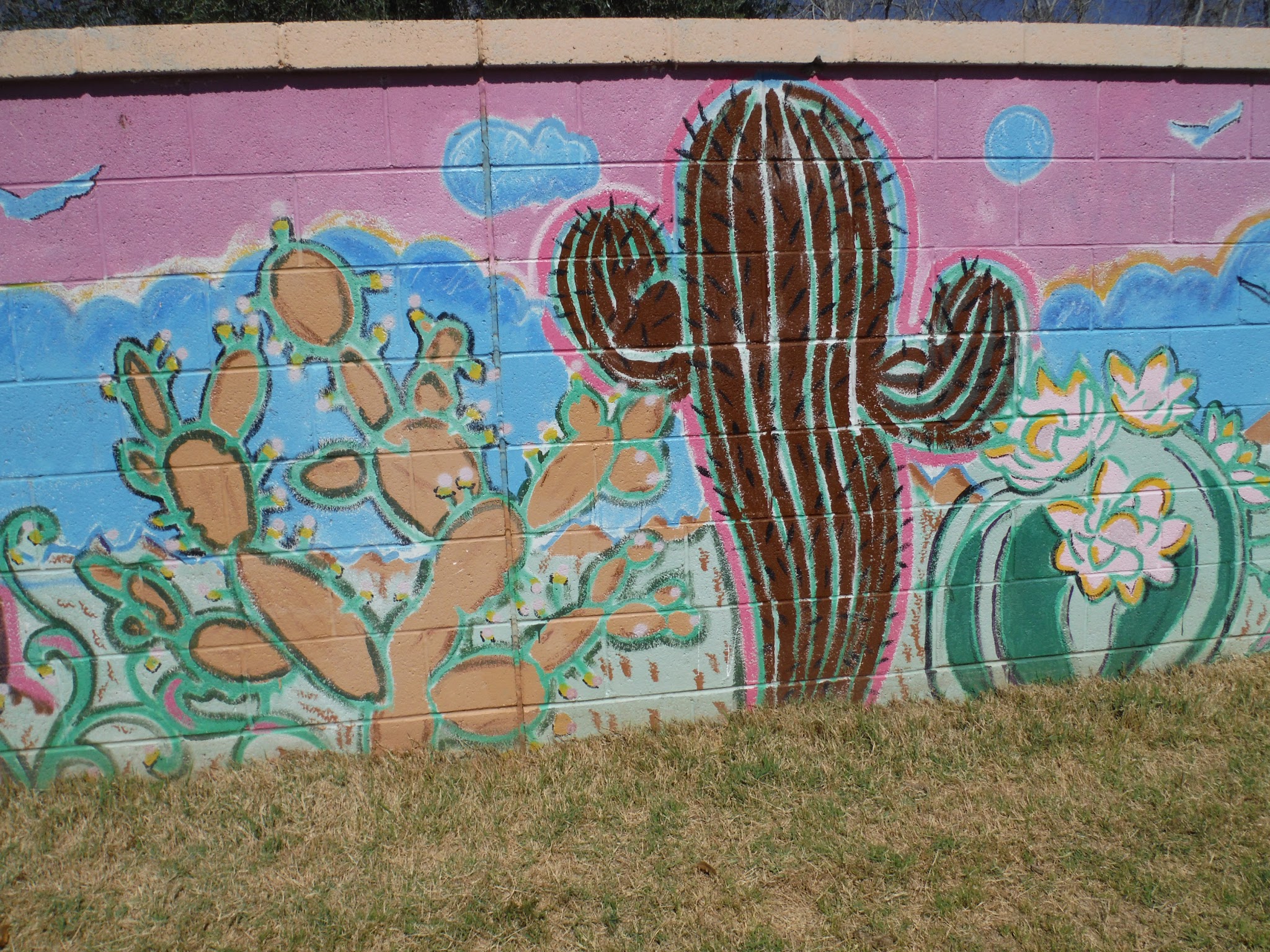 Beverly Park - Mesa, AZ